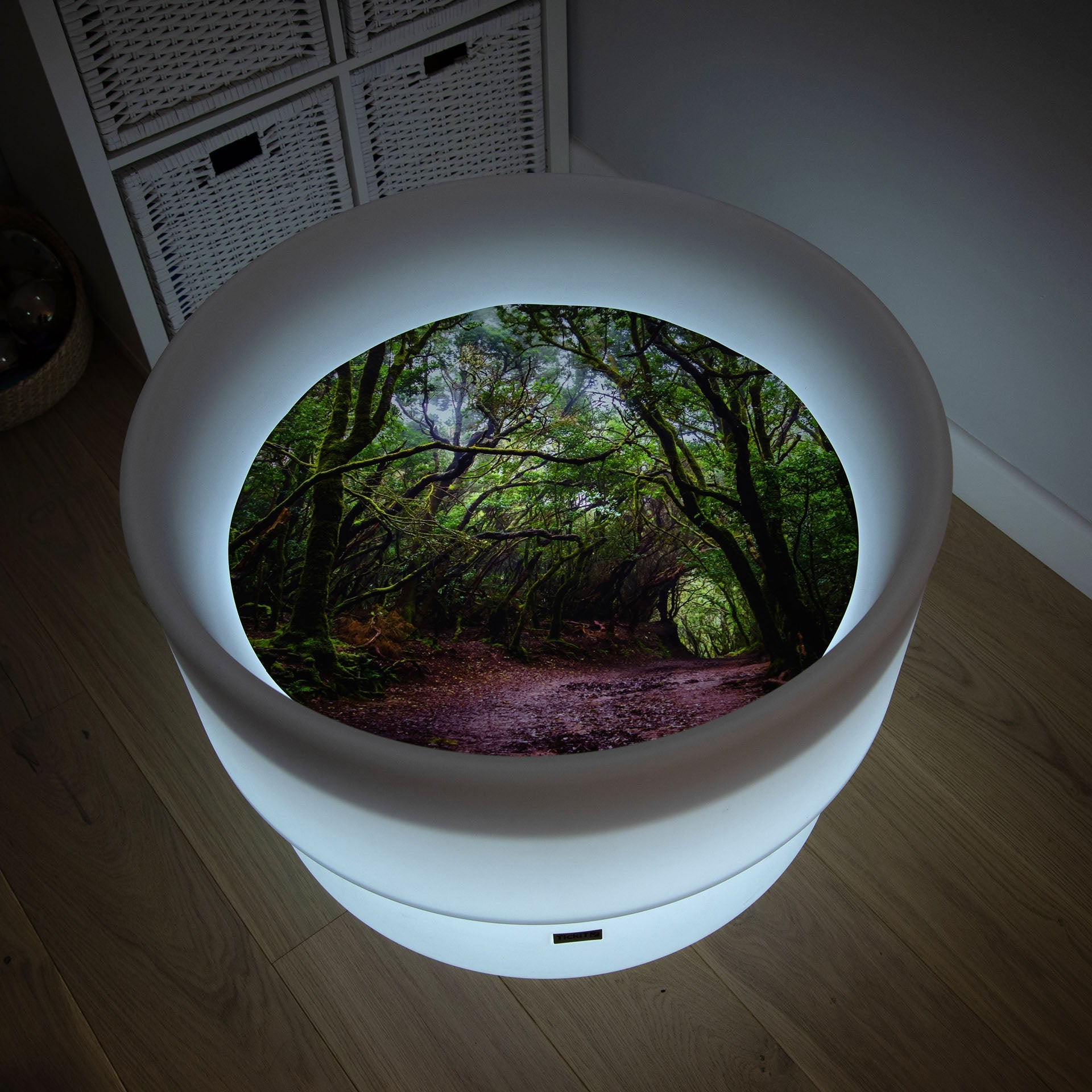 Tickit Discovery Tavolo Luminoso Glow con Tappeto Foresta