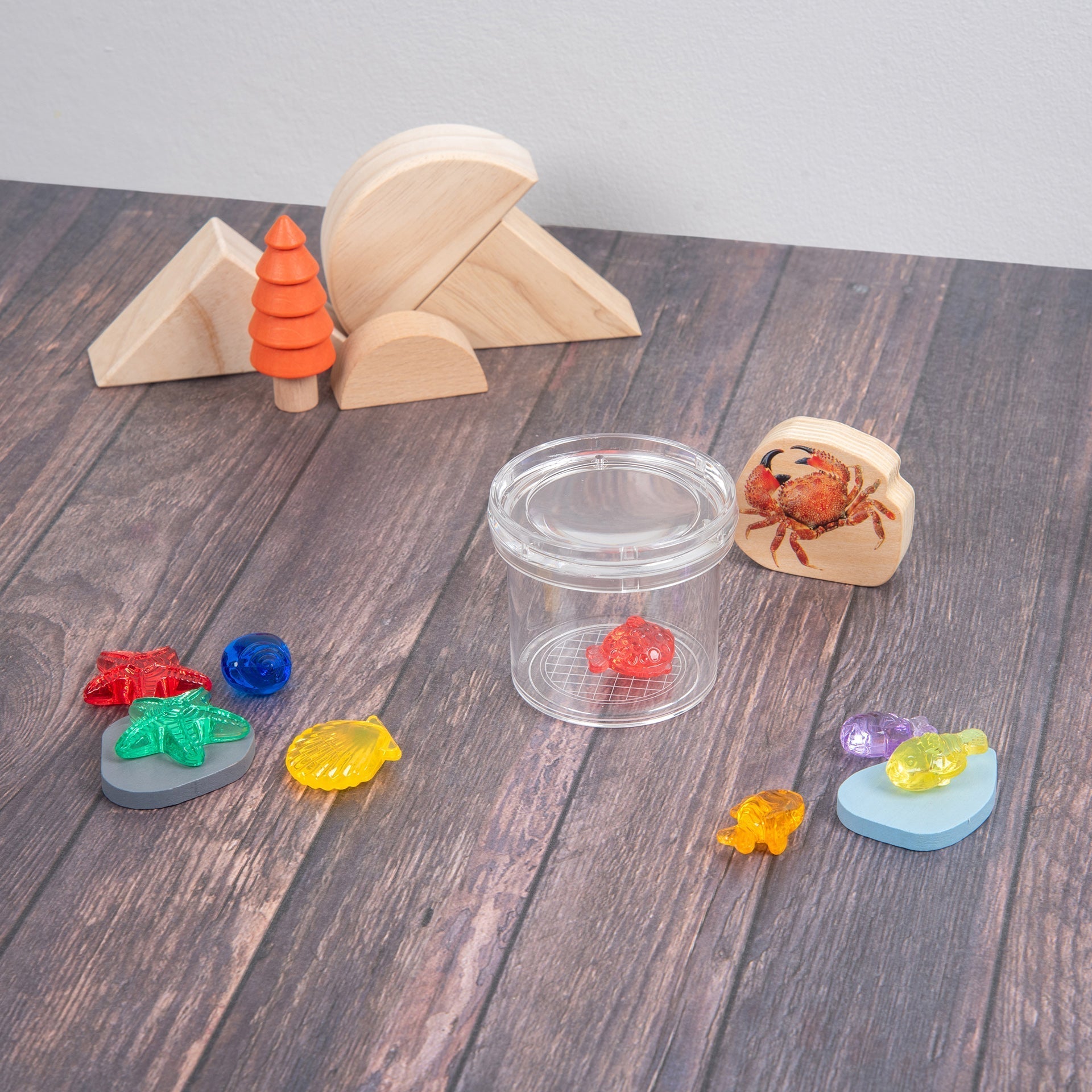 Tickit Clear Bug Viewer contenitore insetti lente 3x