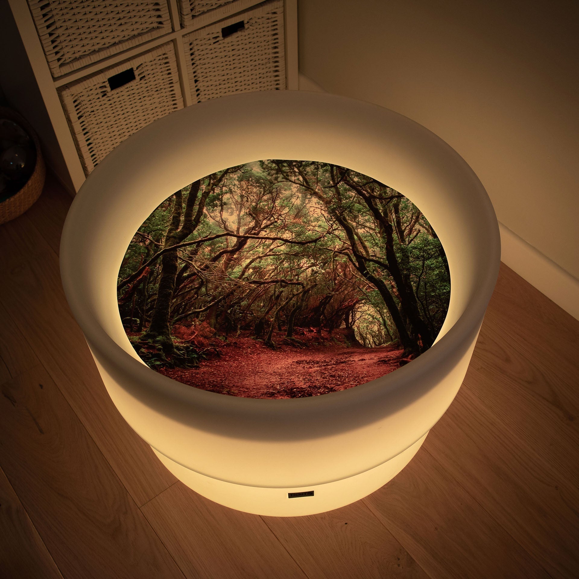 Tickit Discovery Forest tappeto gioco foresta 62,5 cm