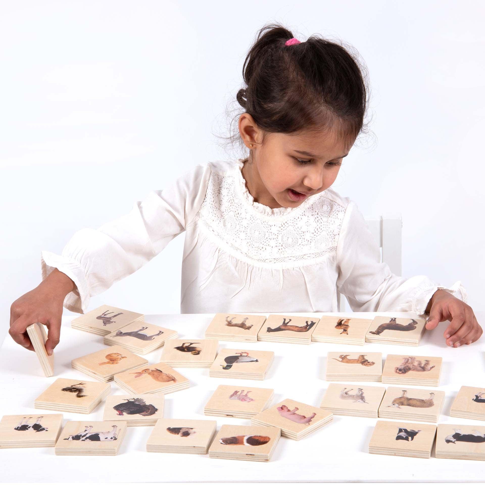 Tickit Domestic Animal Family Match memory legno 28 tessere animali
