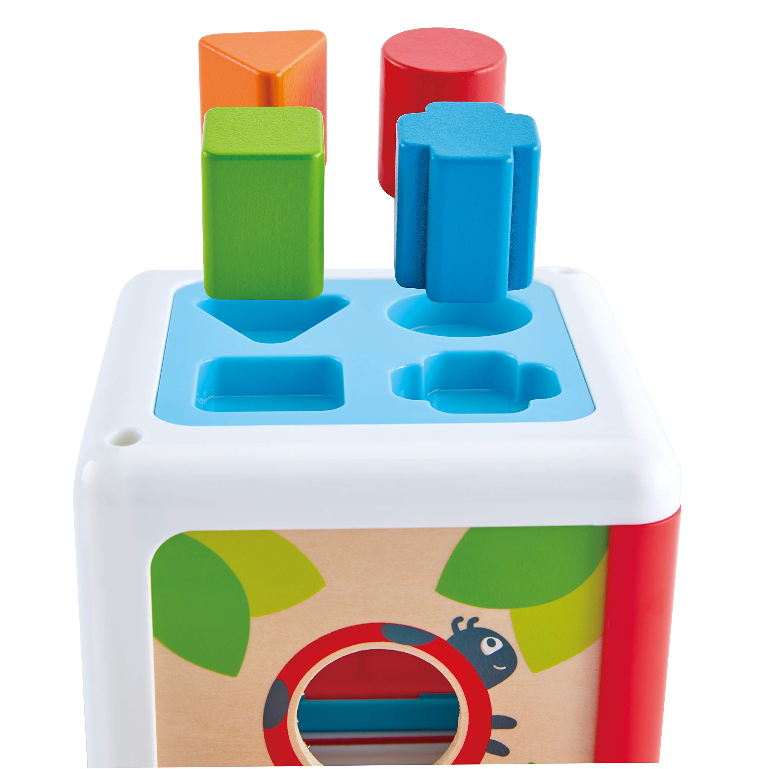 Hape Shape Sorting Box scatola forme in legno bambini