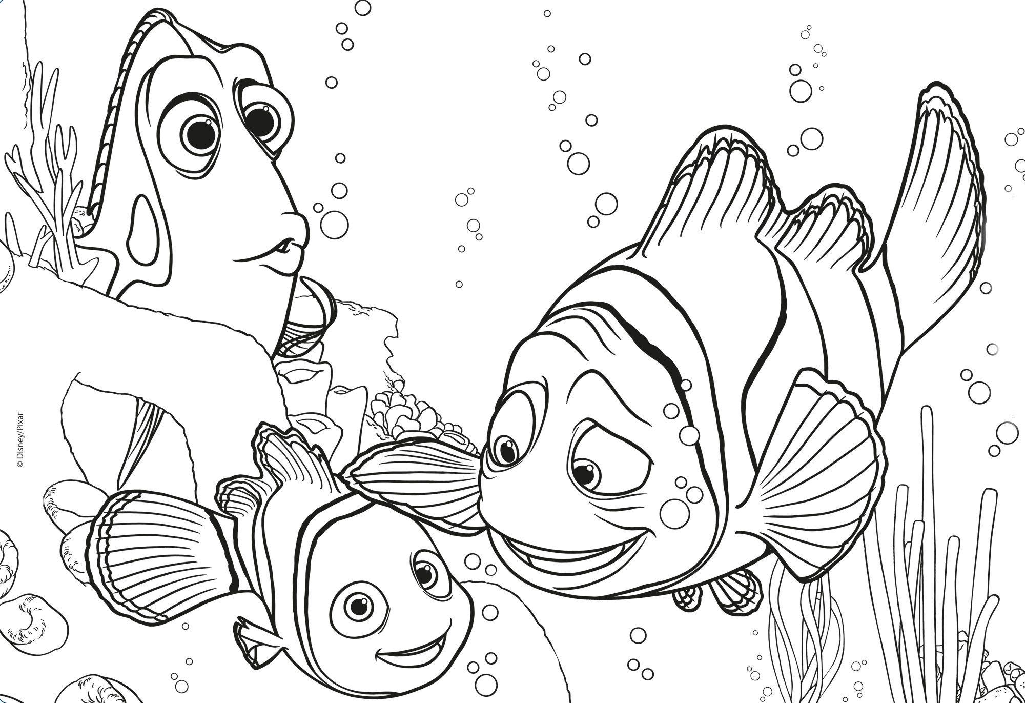 Lisciani Df Plus 24 Nemo puzzle bambini double-face