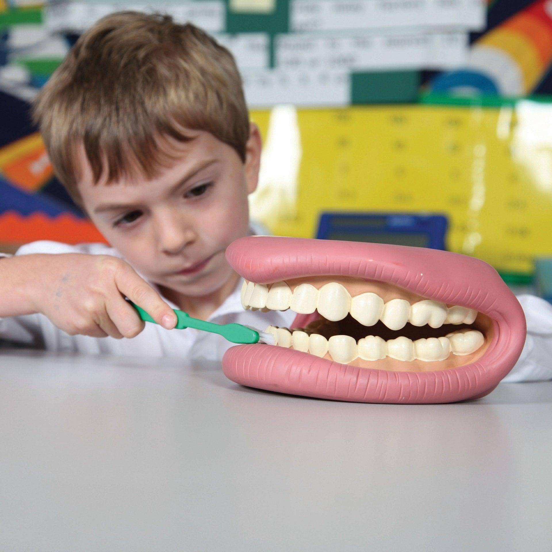 Tickit Giant Teeth Demonstration Set modello denti giganti