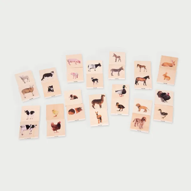 Tickit Domestic Animal Family Match memory legno 28 tessere animali