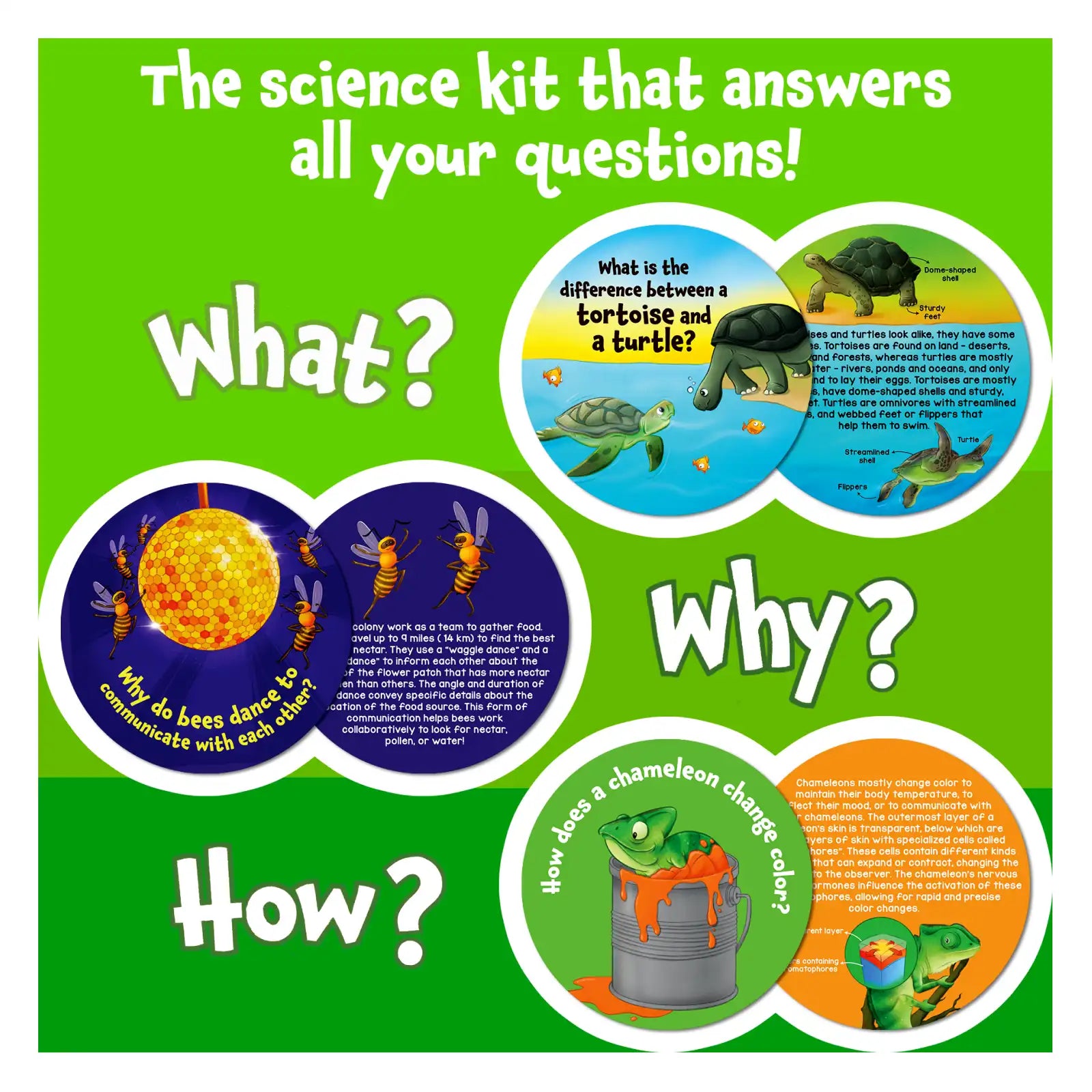 Skillmatics Science Snippets Animals Multiplication flash cards