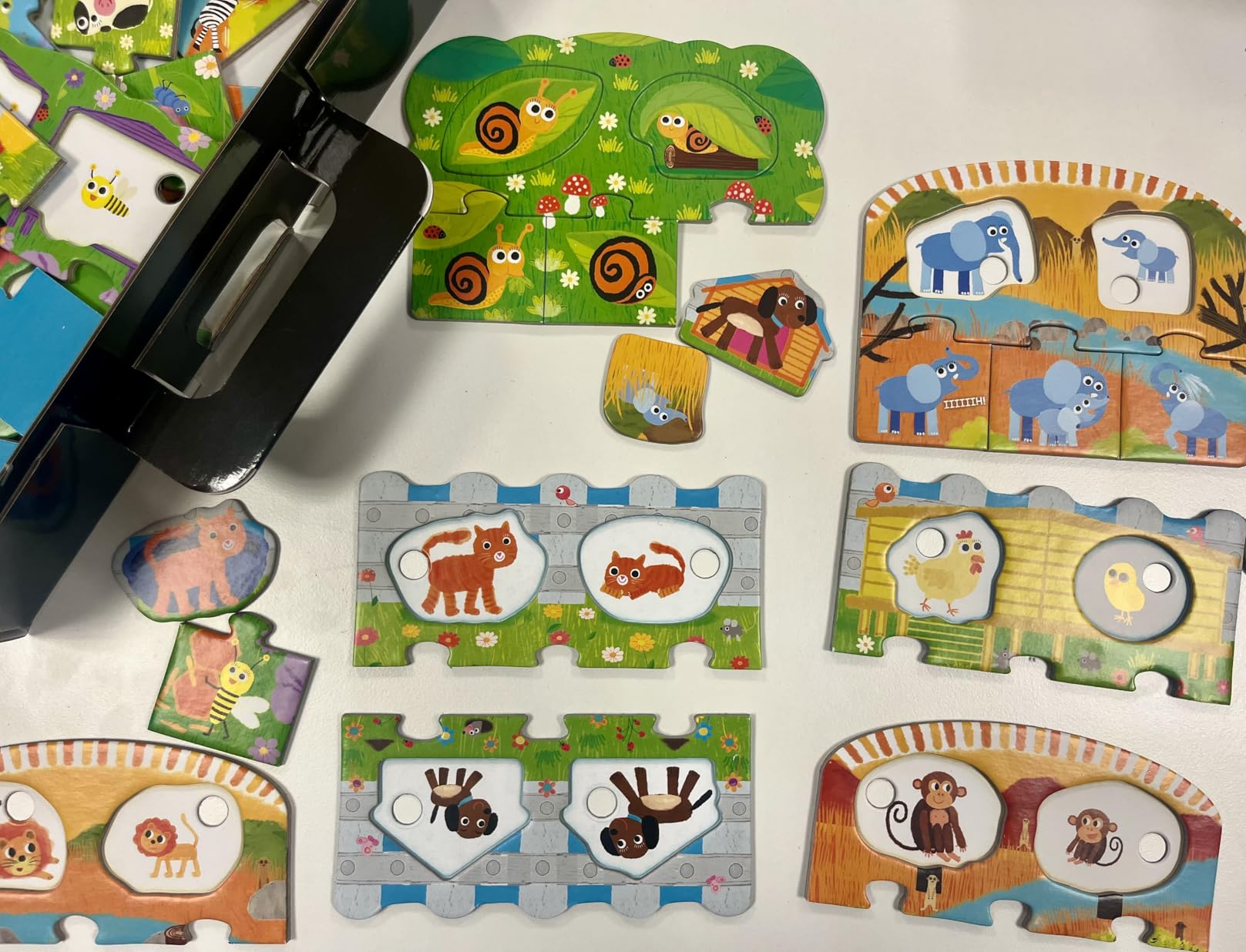 Headu Chi Cosa Dove gioco educativo linguaggio 2-5 anni