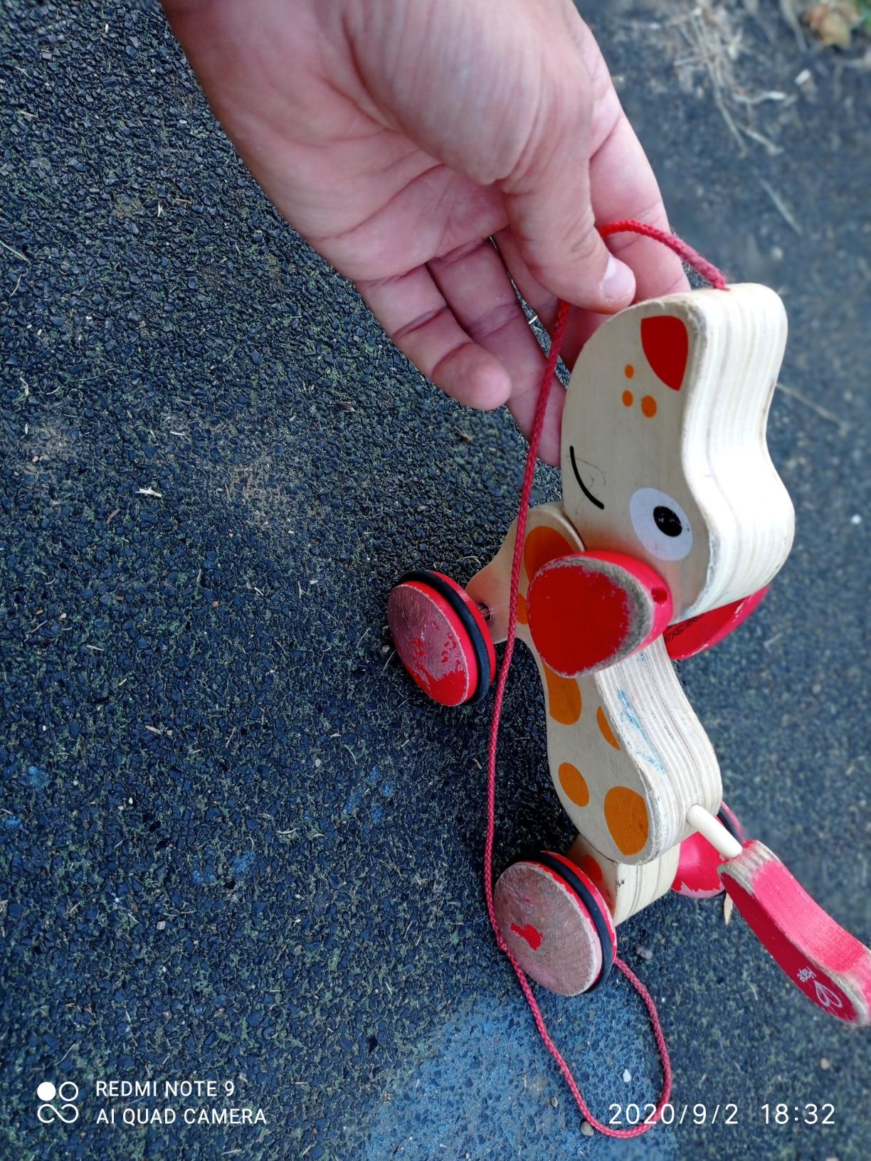 Hape Pepe cane trainabile legno con cordino dai 12 mesi