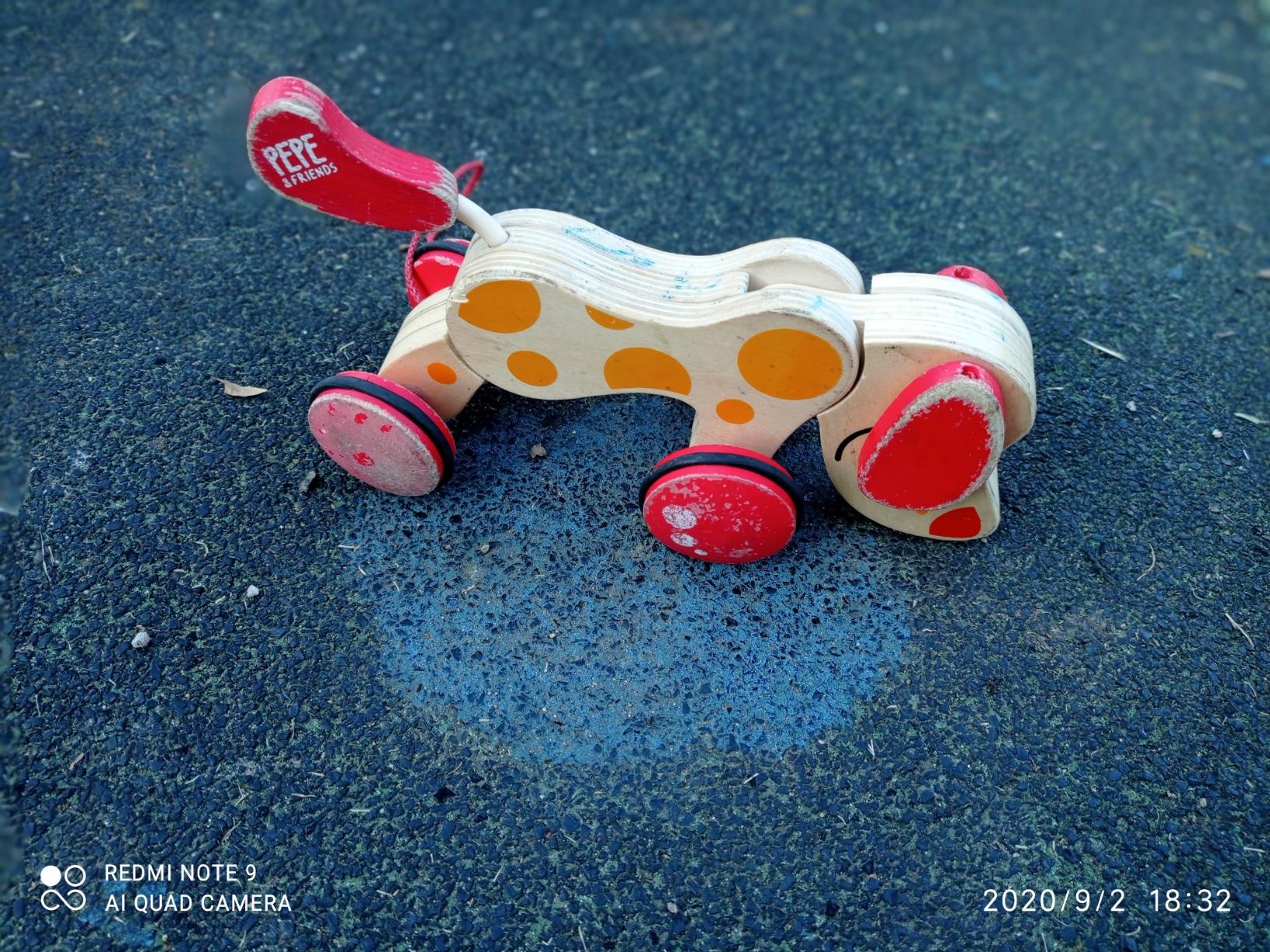 Hape Pepe cane trainabile legno con cordino dai 12 mesi