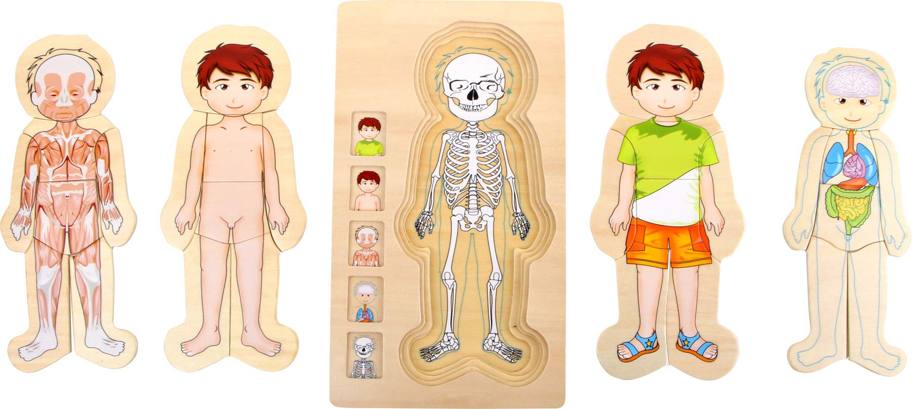 smallfoot Anatomia Ragazzo puzzle in legno 29 pezzi corpo umano