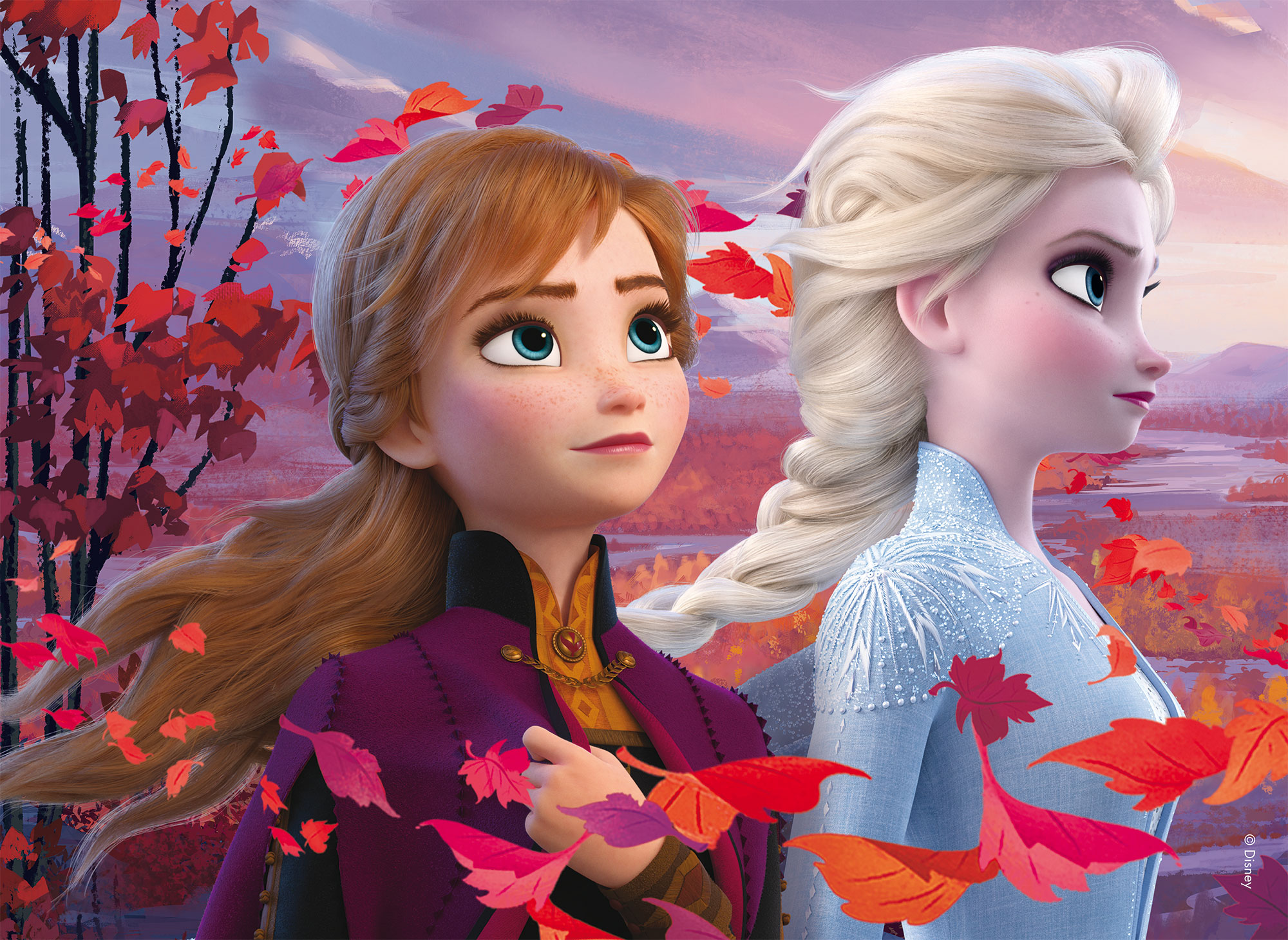 Lisciani Disney Maxi Floor 35 Frozen 2 puzzle double-face