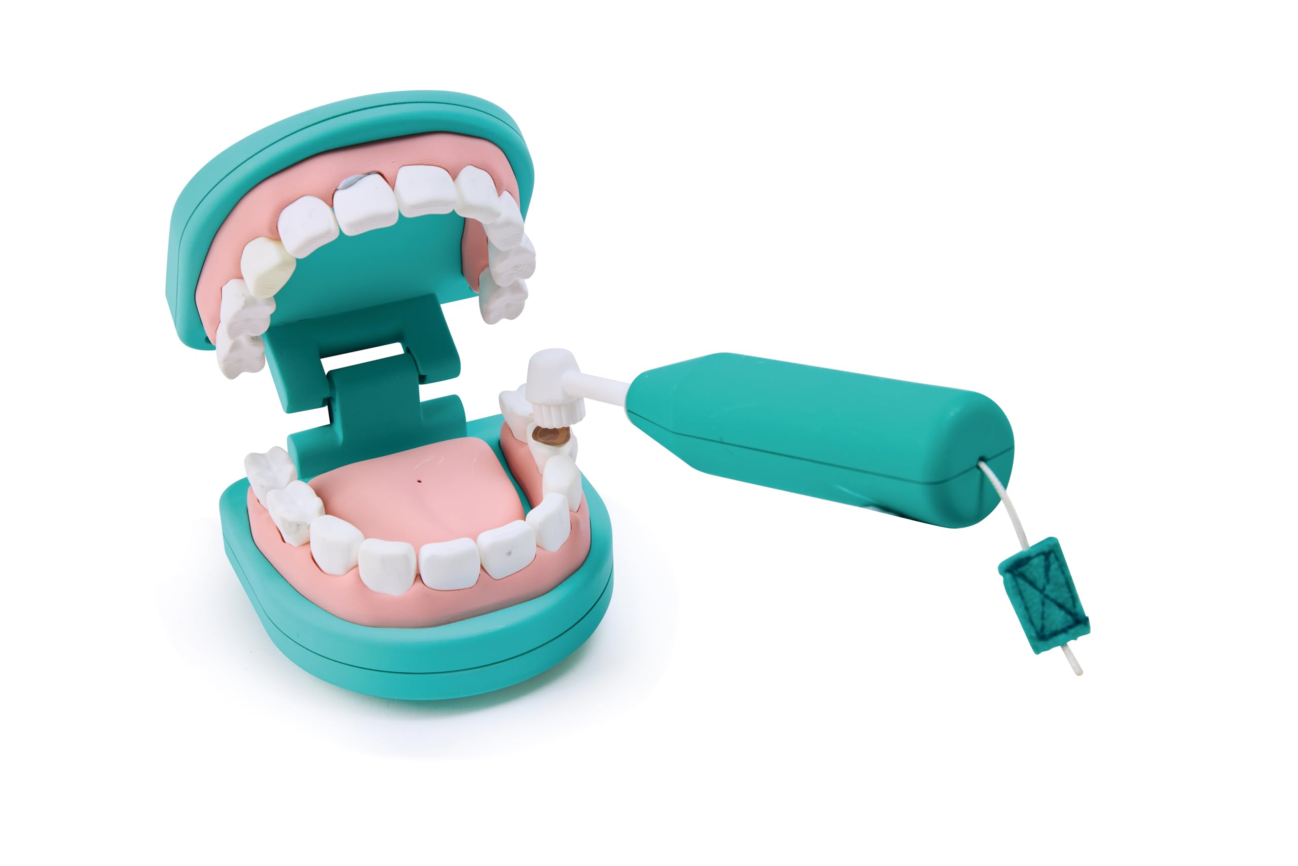 Hape Kit Dentista gioco di ruolo 8 denti interattivo