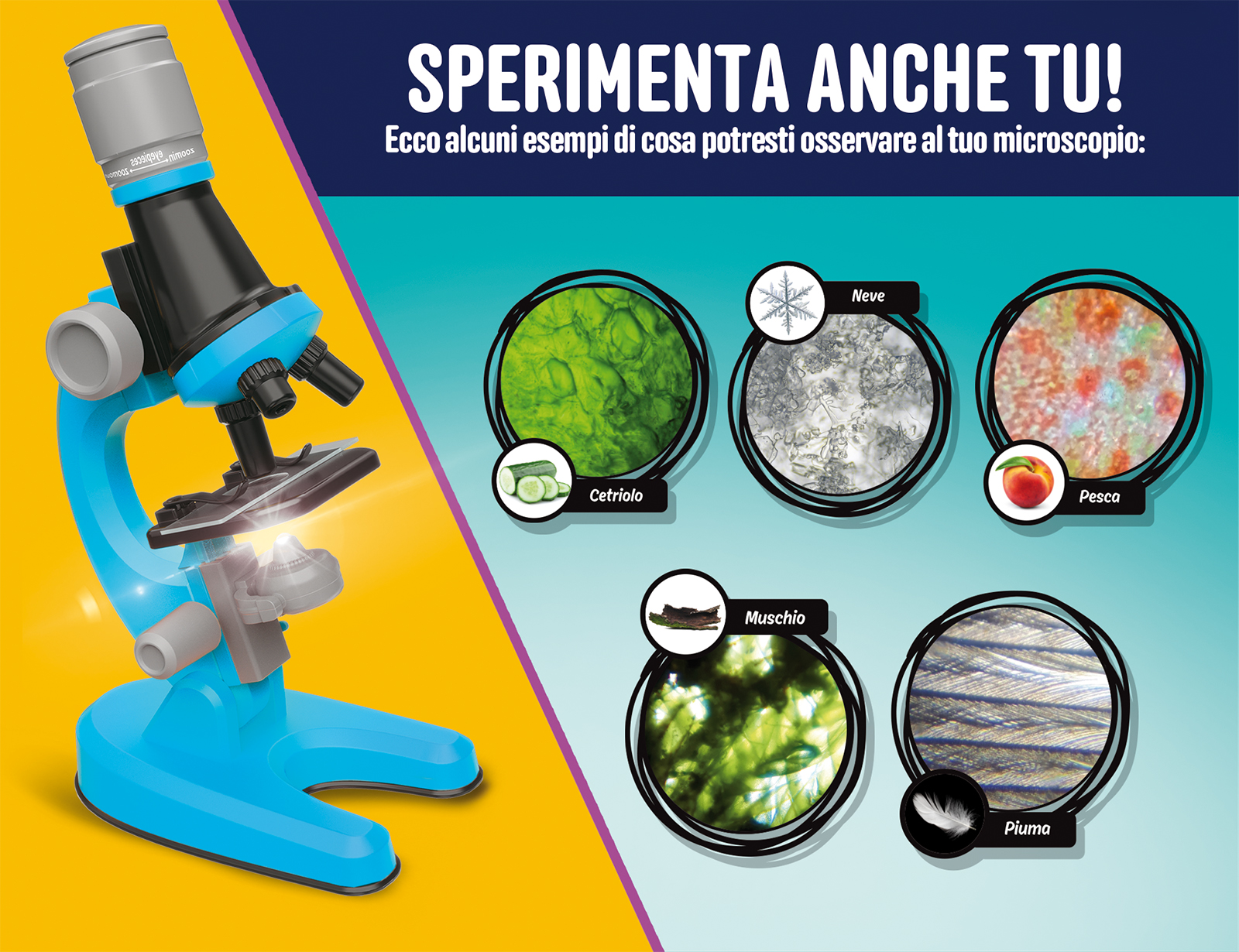 Lisciani I'm a Genius microscopio 1200 ingrandimenti kit