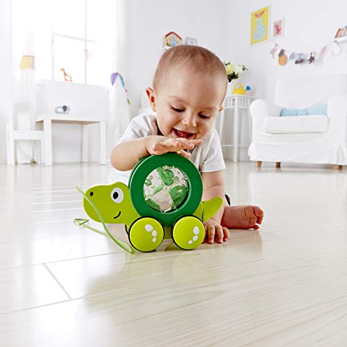 Hape Tito Tartaruga Gioco Trainabile in Legno dai 12 Mesi