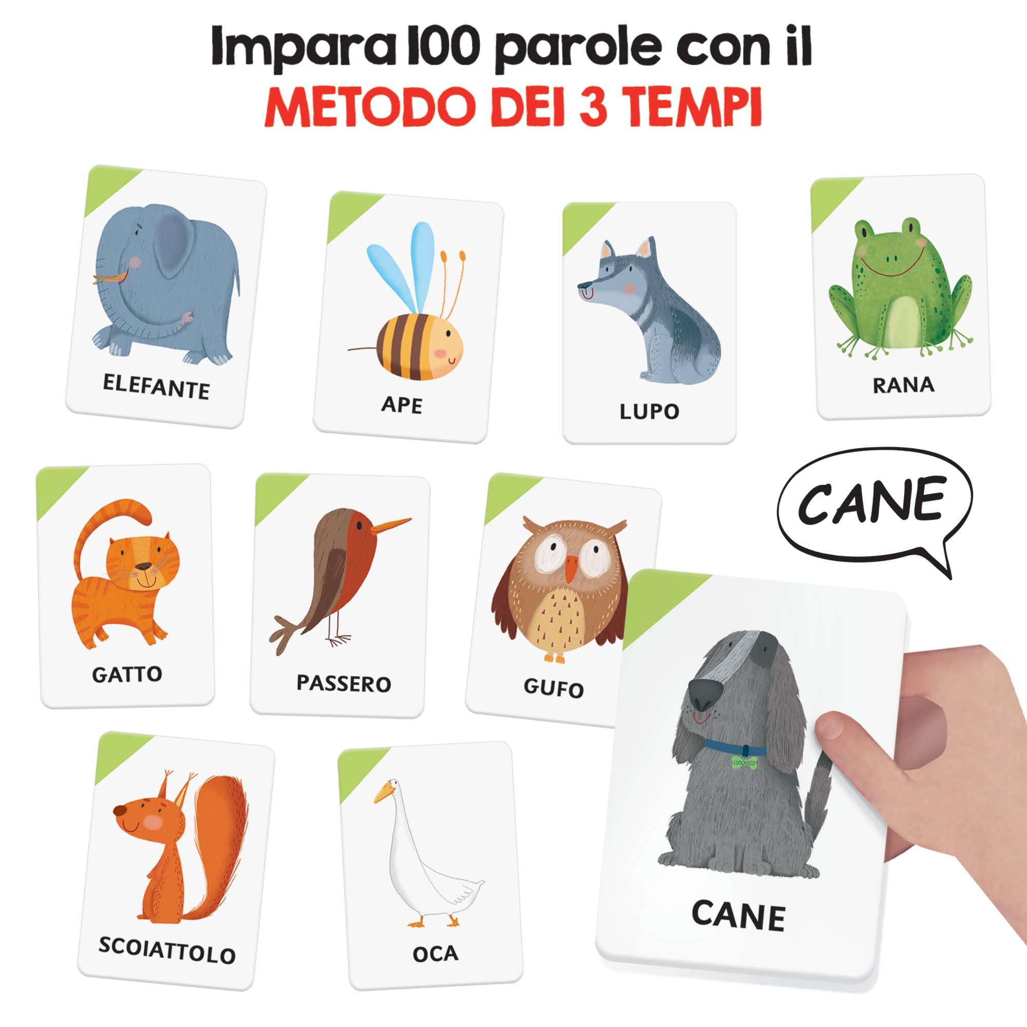 Headu 100 Parole cofanetto flashcards bambini 2-4 anni