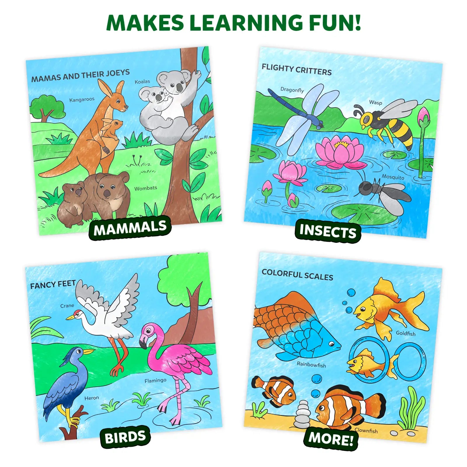 Skillmatics Color and Learn Animals libro da colorare 3-6 anni