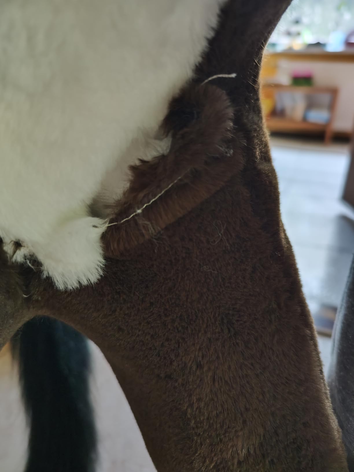 smallfoot 11179 cavallo cavalcabile con sella e suoni