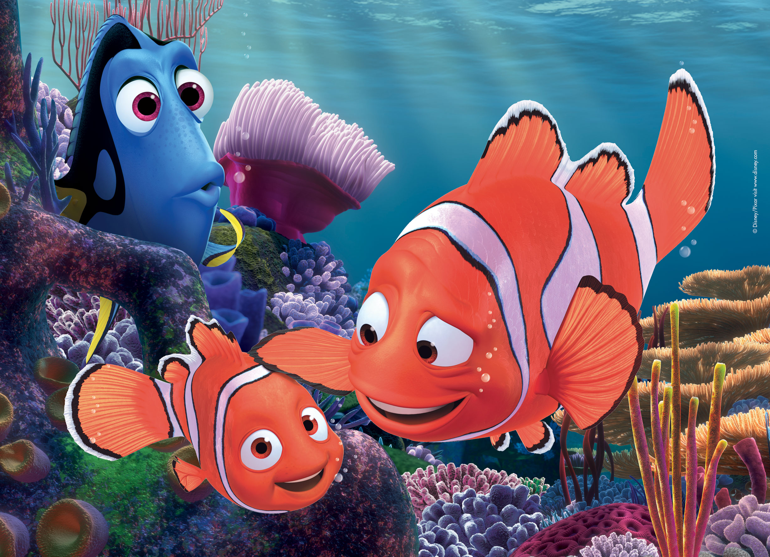 Lisciani Disney Puzzle DF Maxi Floor 24 Nemo puzzle maxi