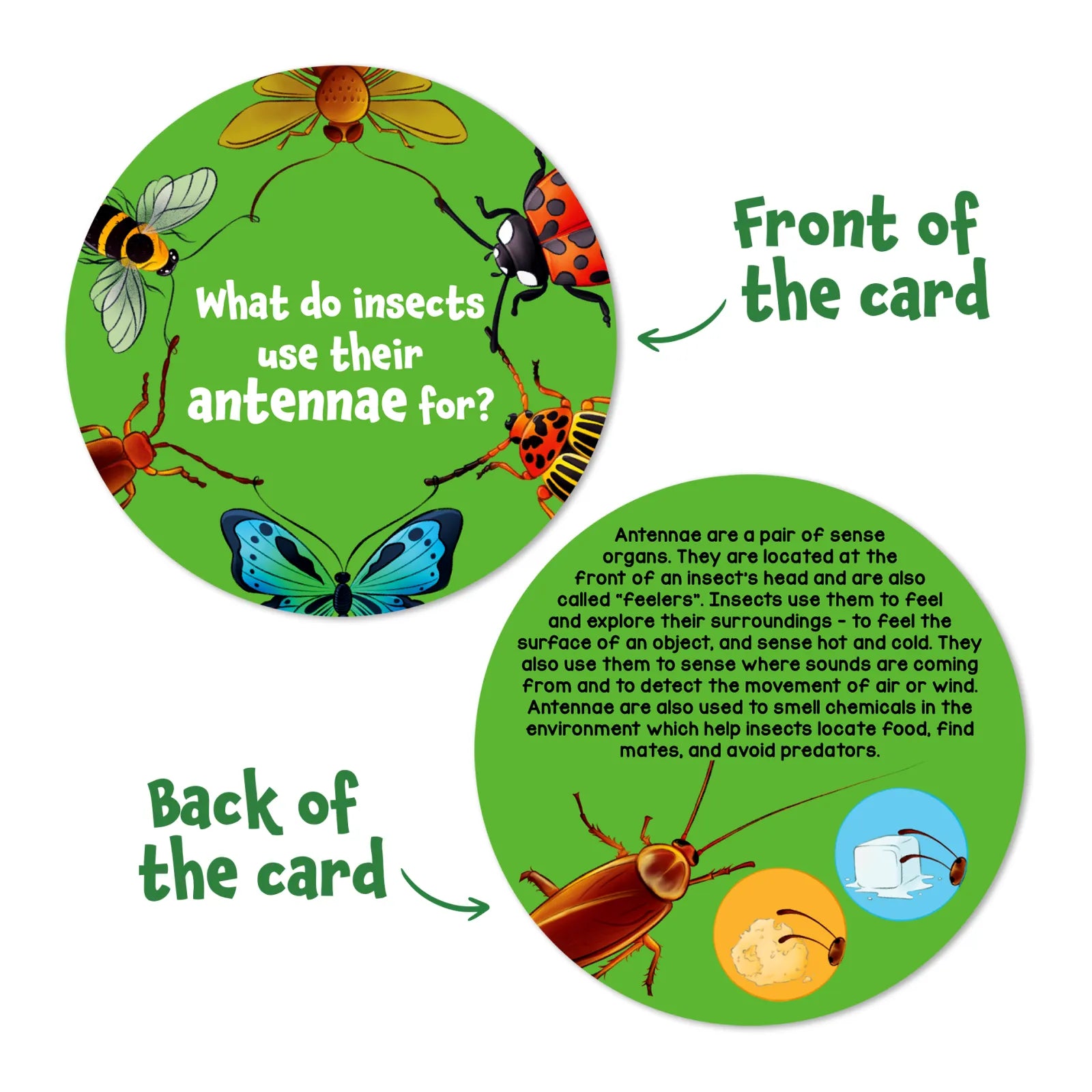 Skillmatics Science Snippets Animals Multiplication flash cards