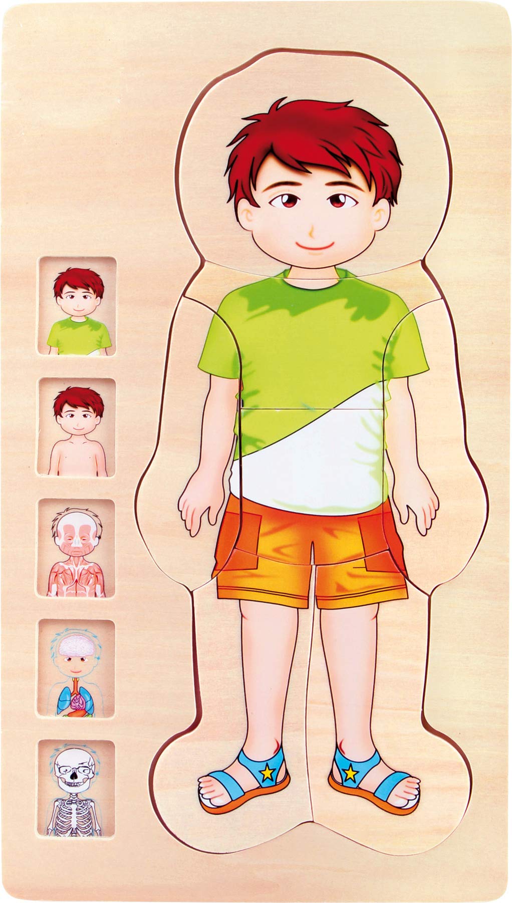 smallfoot Anatomia Ragazzo puzzle in legno 29 pezzi corpo umano