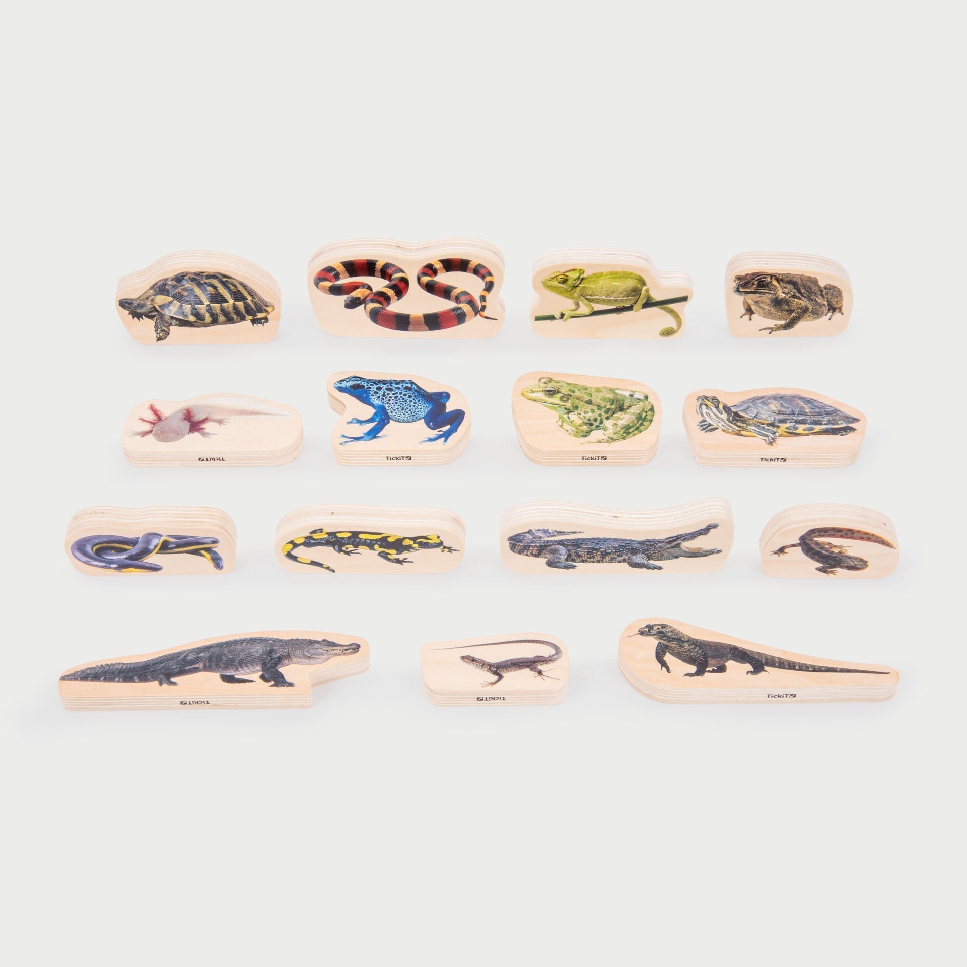 Tickit Reptile Amphibian Blocchi Legno 15 Pezzi Animali