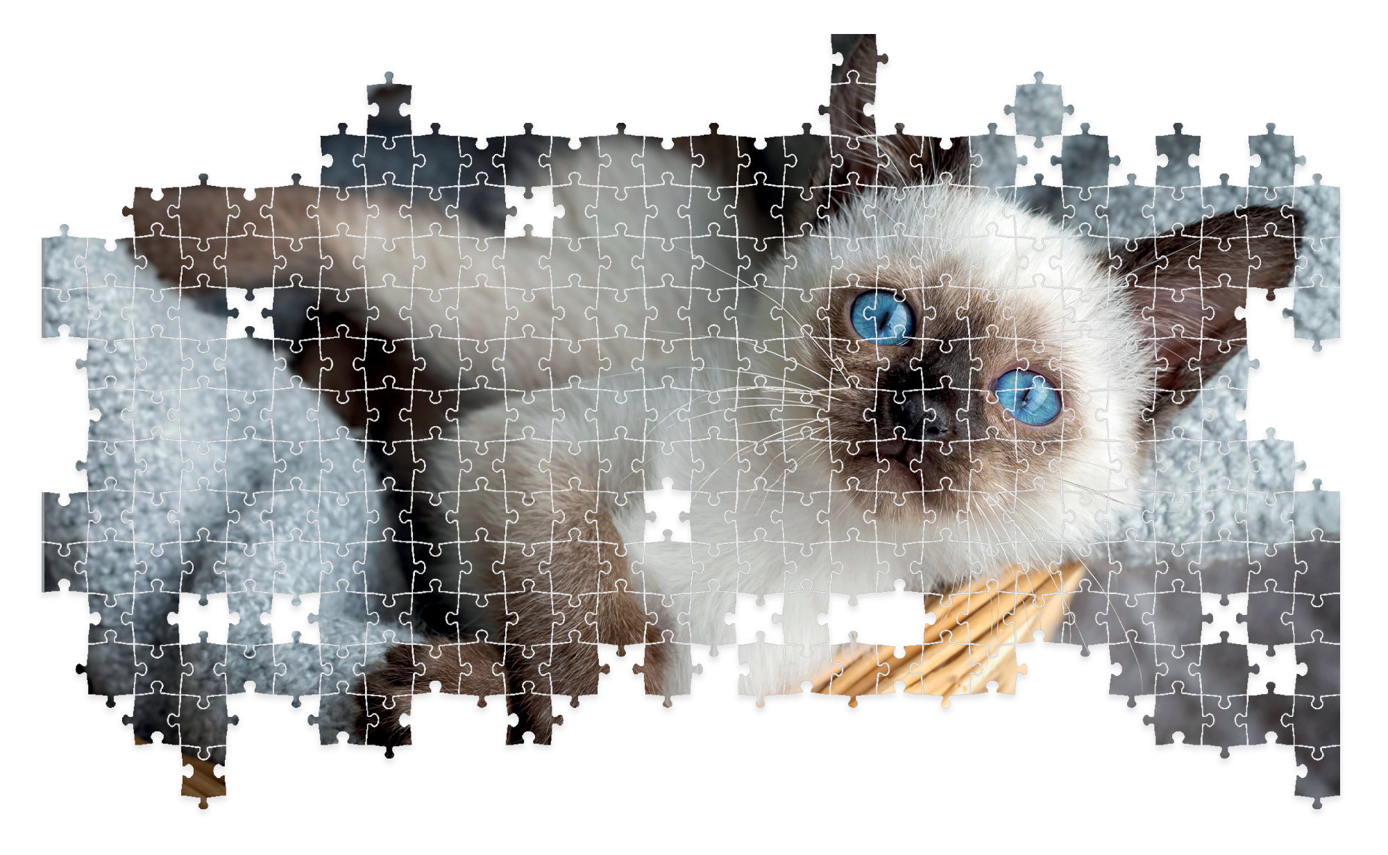 Lisciani Puzzle Poster Cats 1000 puzzle adulti gatti