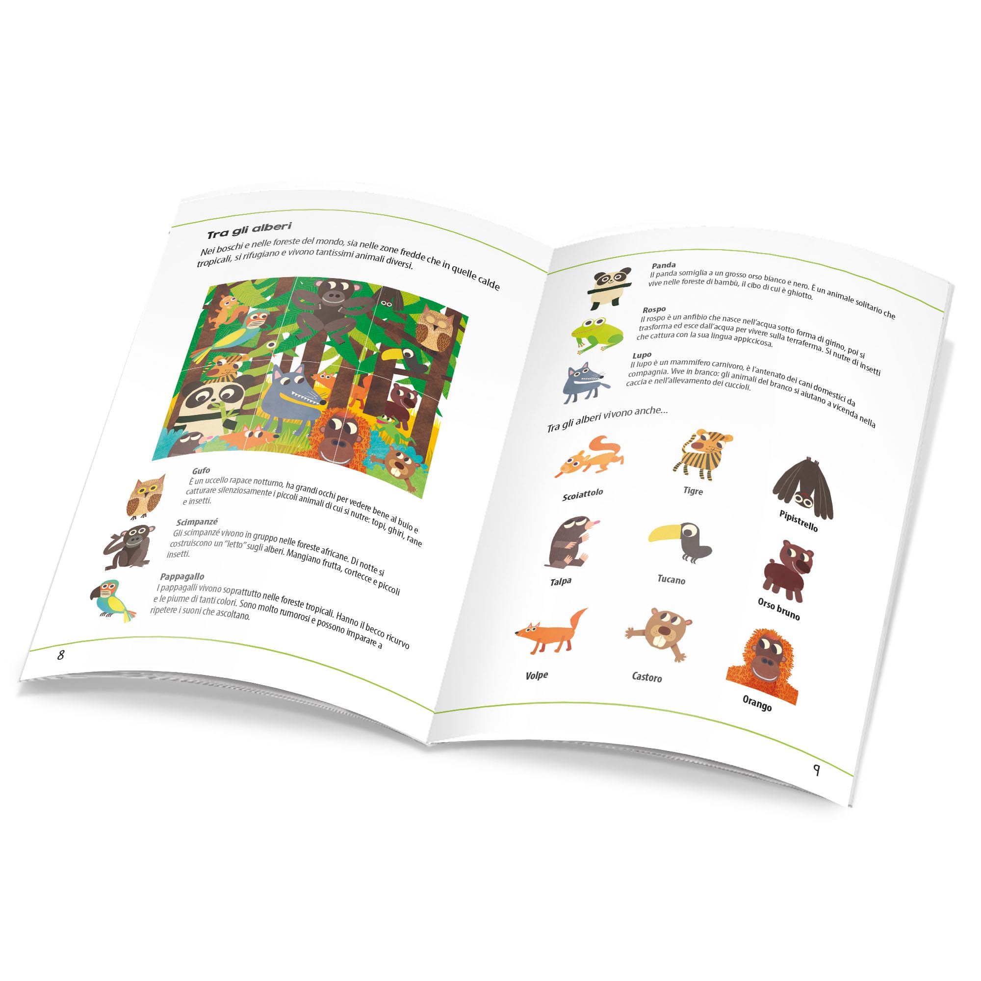 Headu Enciclopedia Animali IT54860 Flashcards 36 Carte Montessori