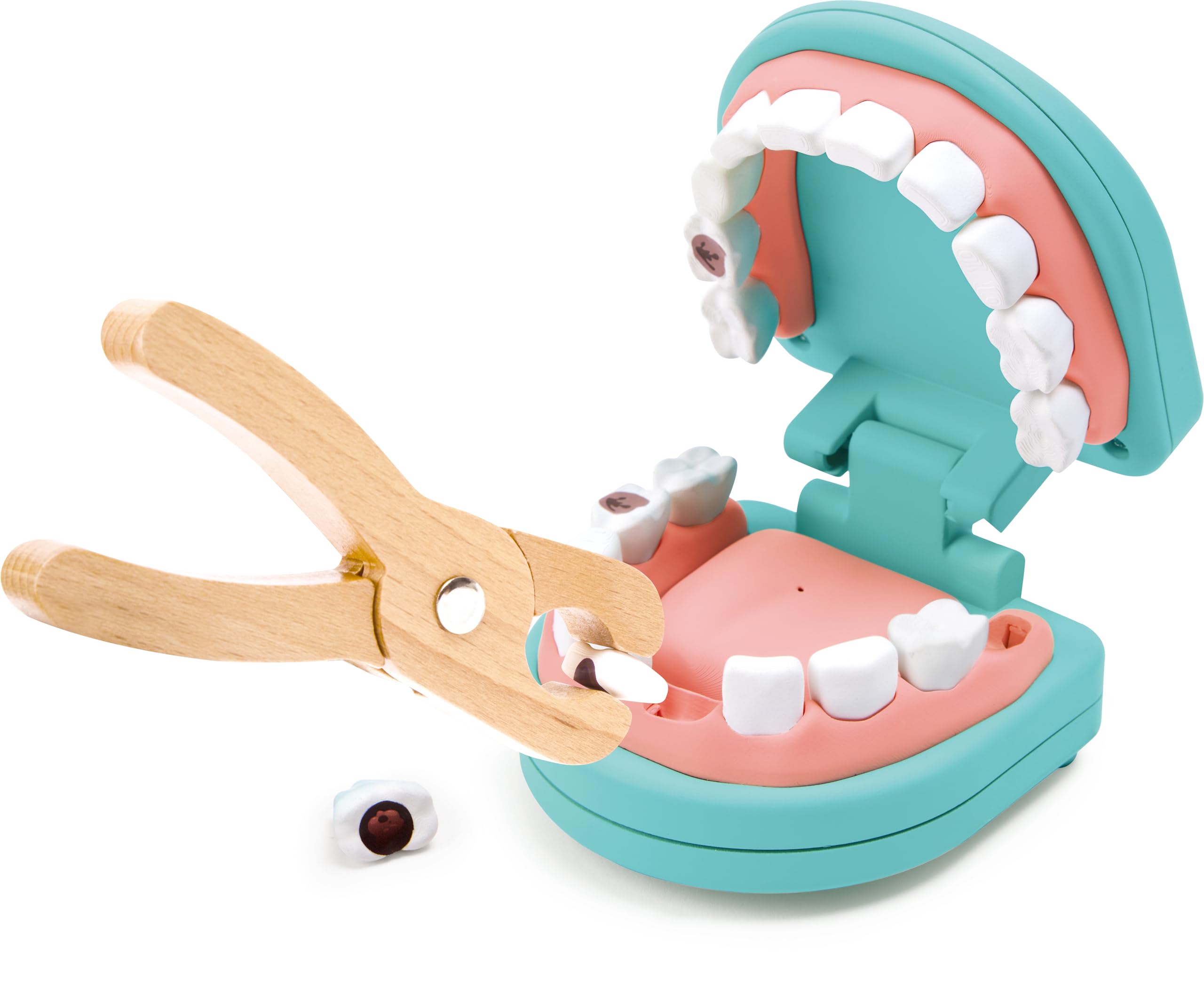 Hape Kit Dentista gioco di ruolo 8 denti interattivo