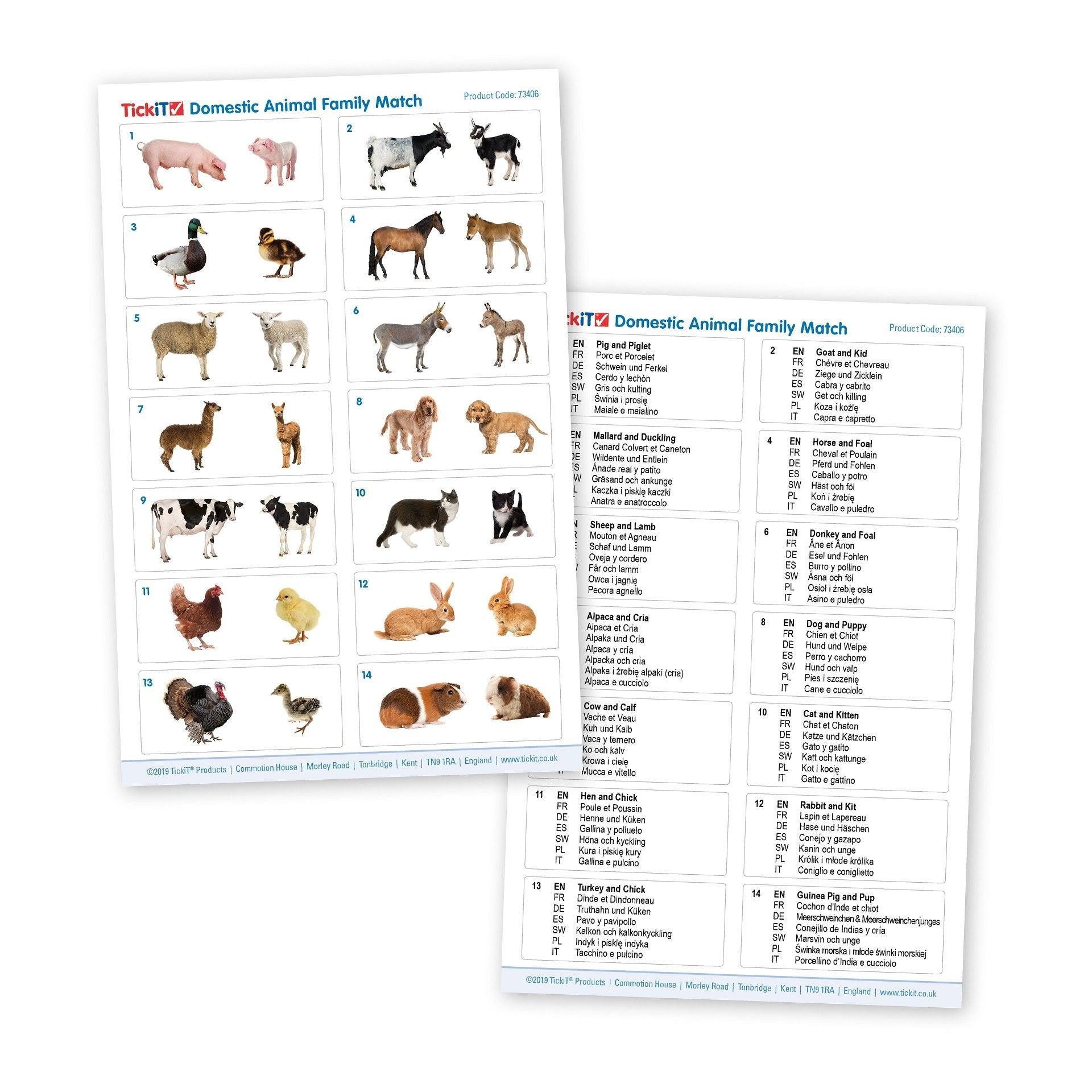 Tickit Domestic Animal Family Match memory legno 28 tessere animali
