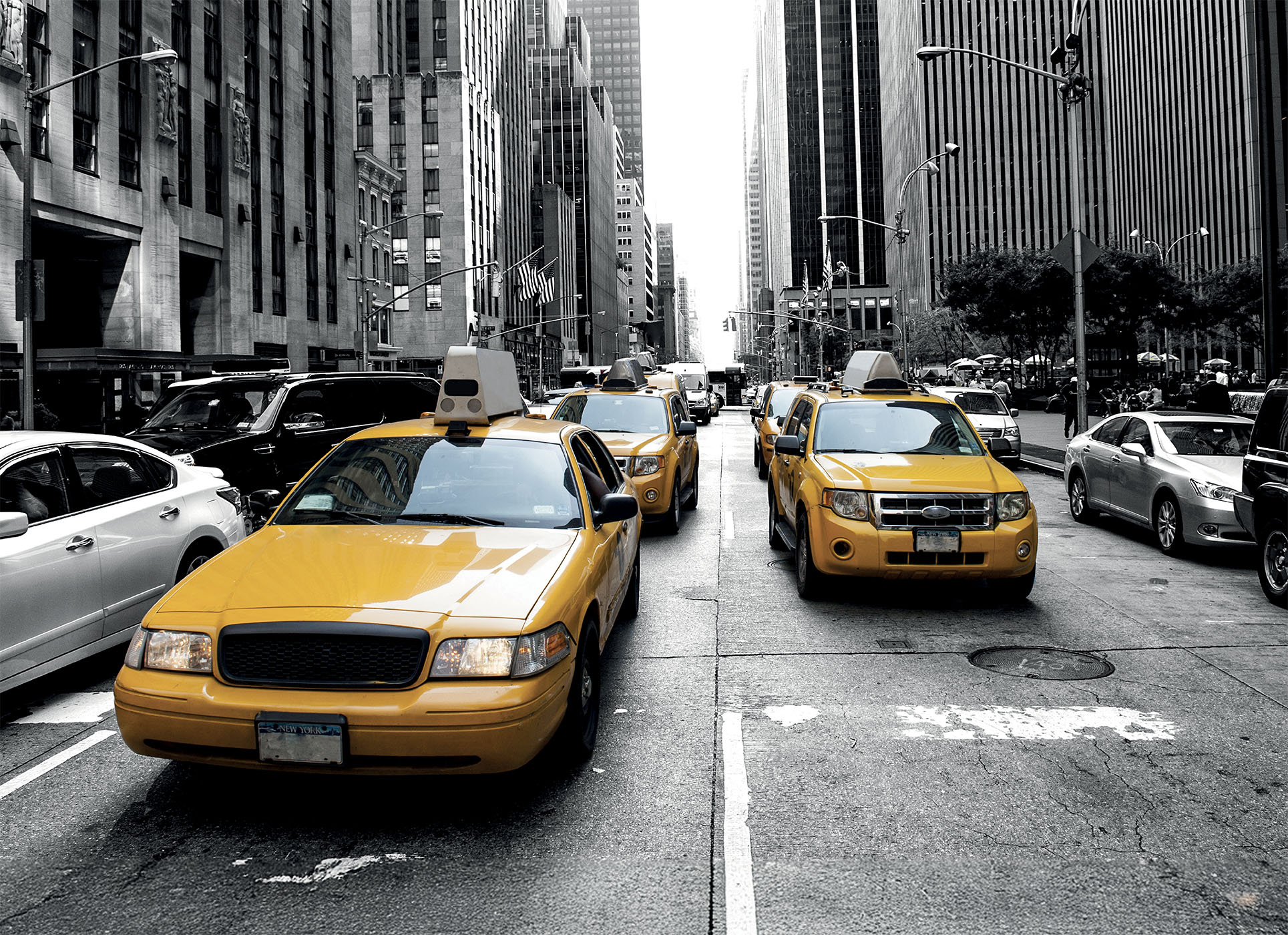 Lisciani Puzzle + Poster New York puzzle 1000 pezzi adulti