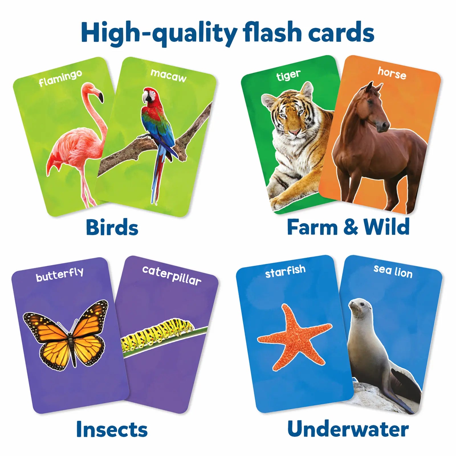Skillmatics First 100 Animals flashcard 50 carte animali 1-4 anni