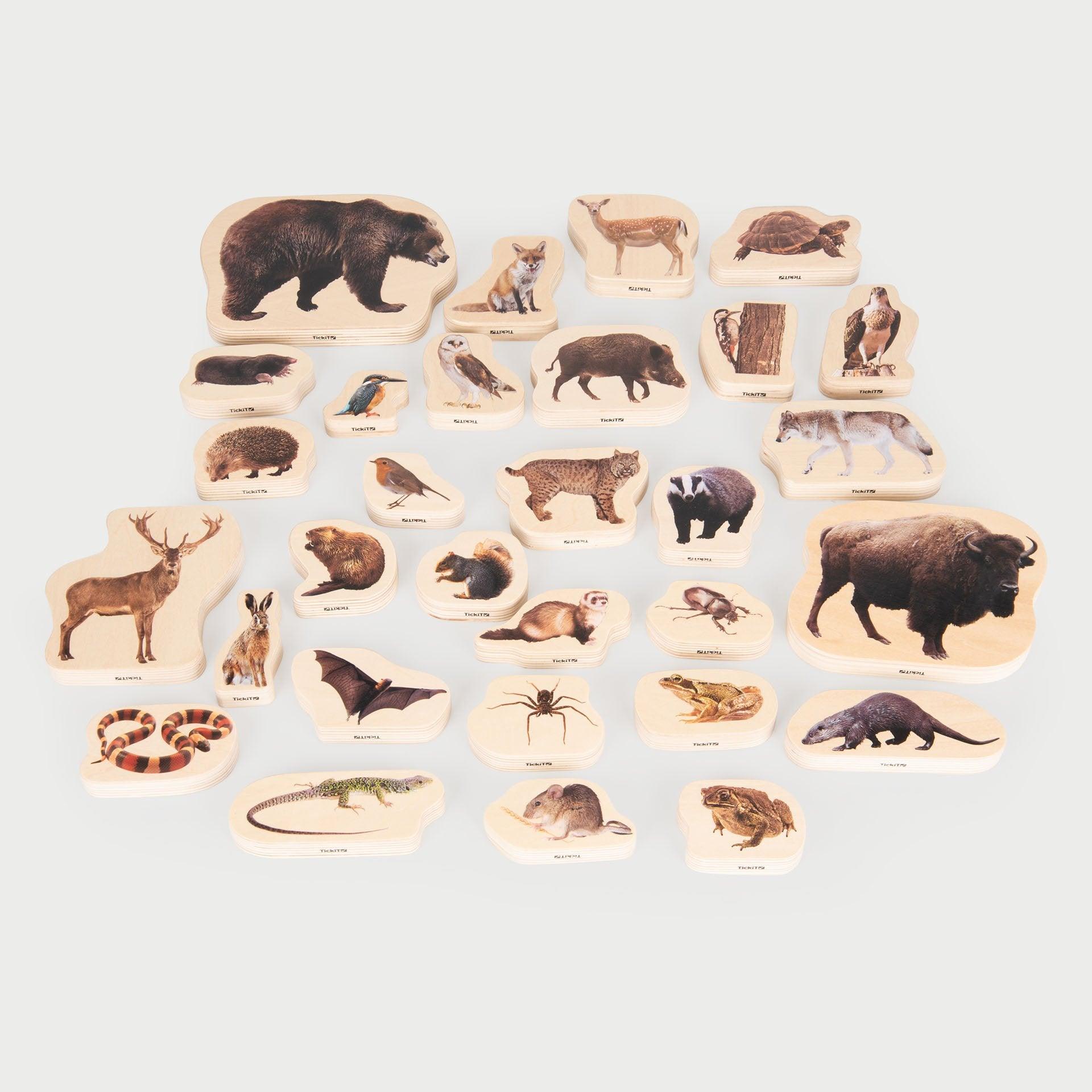 Tickit Wooden Forest Animal Blocks Cubi Animali Bosco