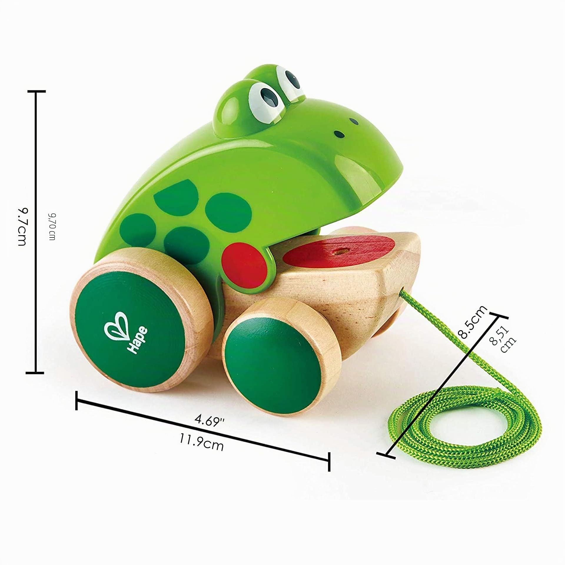 Hape Rana trainabile legno rana bocca apribile 12 mesi