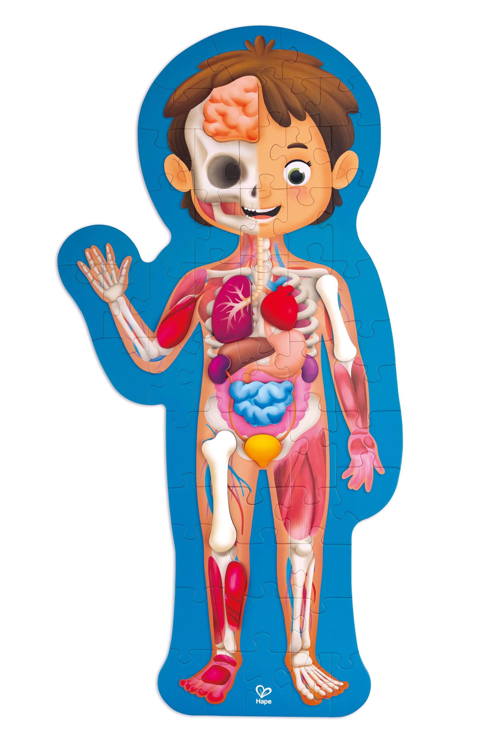 Hape Corpo Umano Puzzle 50 Pezzi da 4 Anni