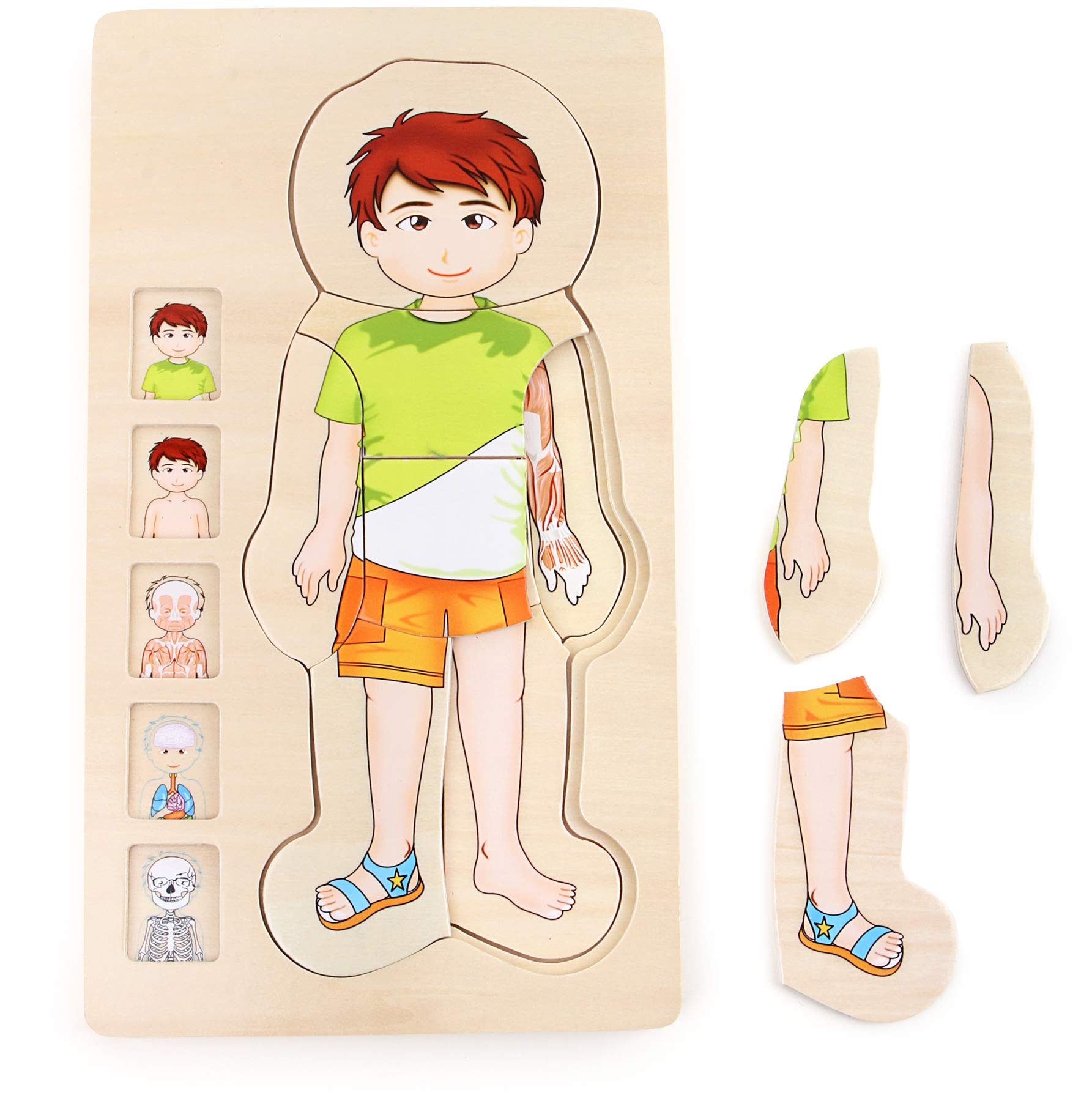 smallfoot Anatomia Ragazzo puzzle in legno 29 pezzi corpo umano