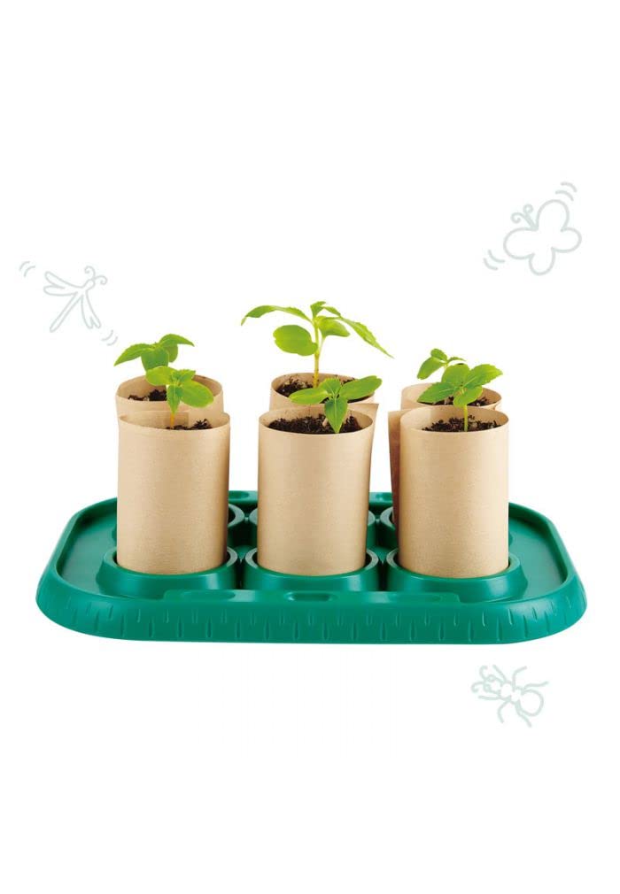Hape Nature Fun serra giocattolo bambini 4 anni vasi carta