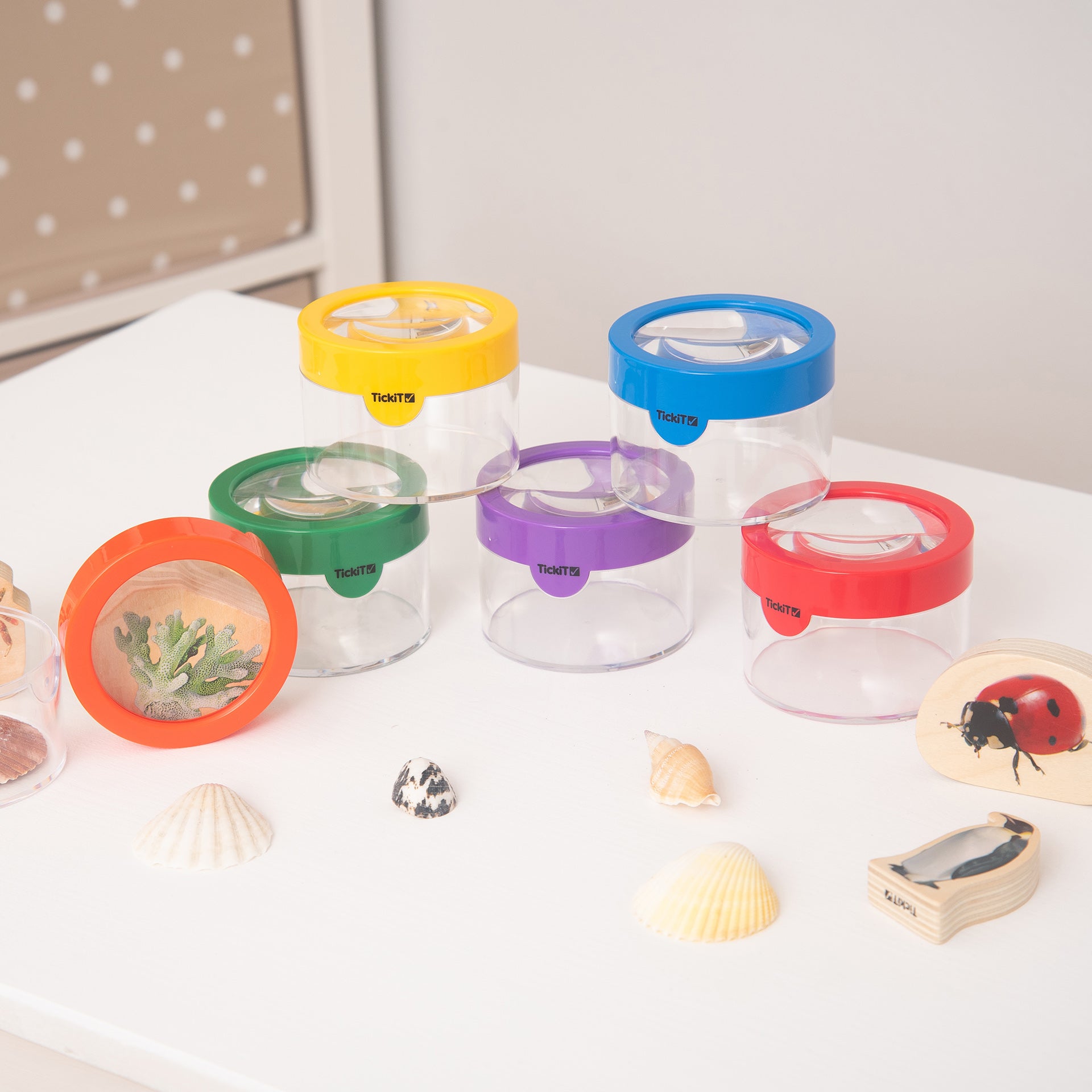 Tickit Rainbow Viewers contenitori con lente 6 pezzi