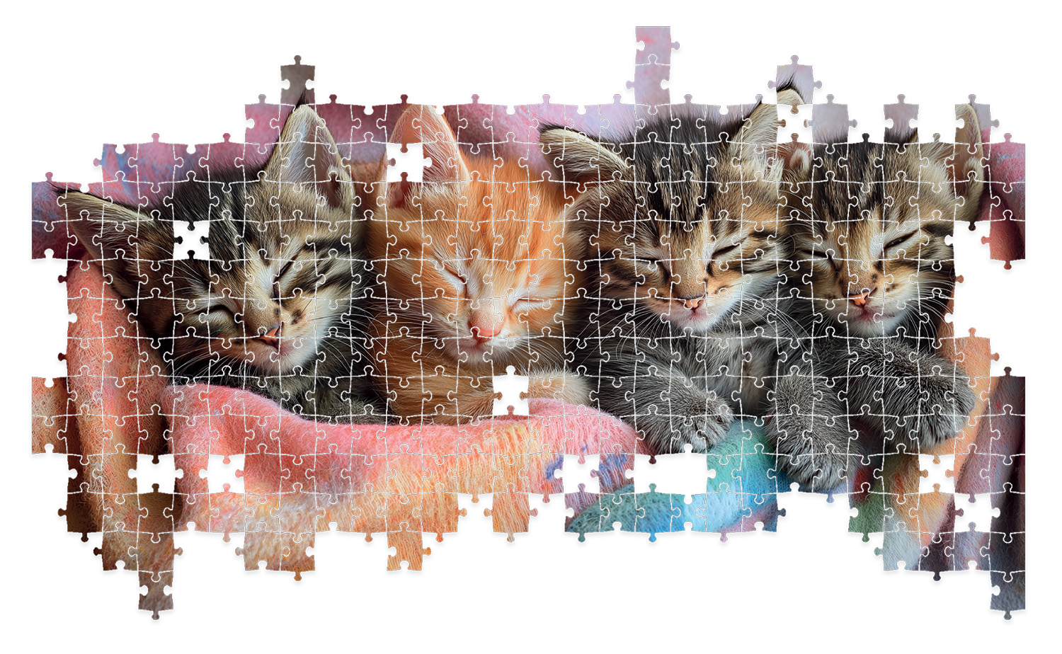 Lisciani Puzzle Poster puzzle 500 pezzi gatti + poster da cornice