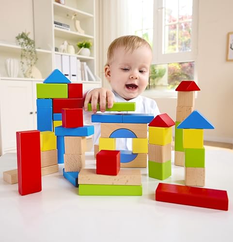Hape Blocchi Acero mattoncini legno 50 pezzi colori