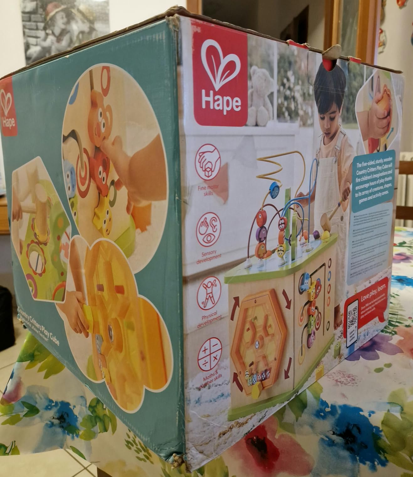 Hape Cubo Multiattività cubo legno 5 facce gioco 12 mesi