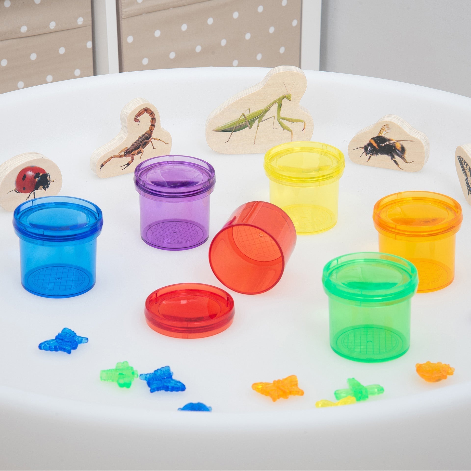 Tickit Translucent Colour Viewers contenitori insetti 6 pezzi con lente