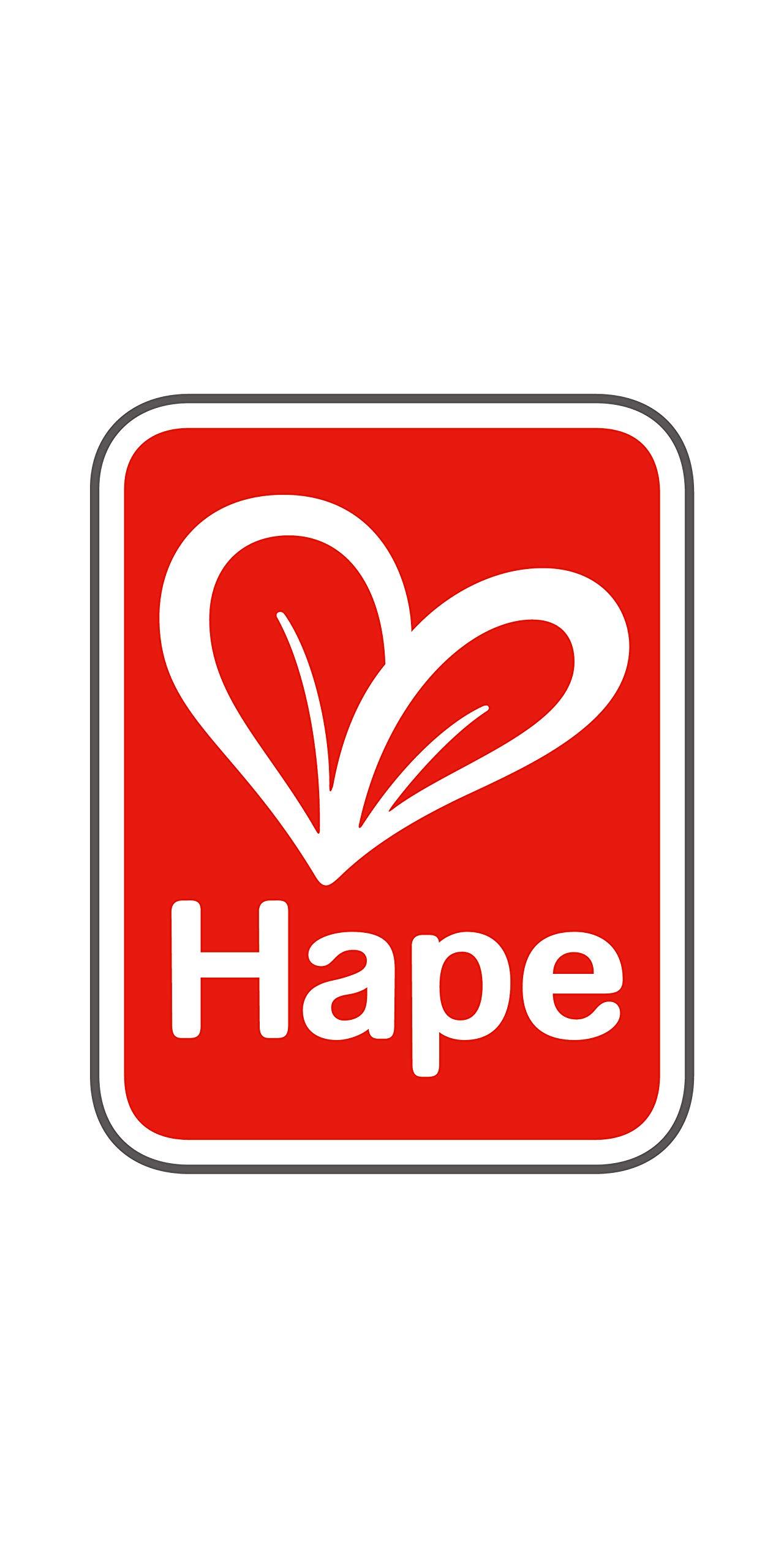 Hape Famiglia Moderna Figlio bambola legno con arti flessibili