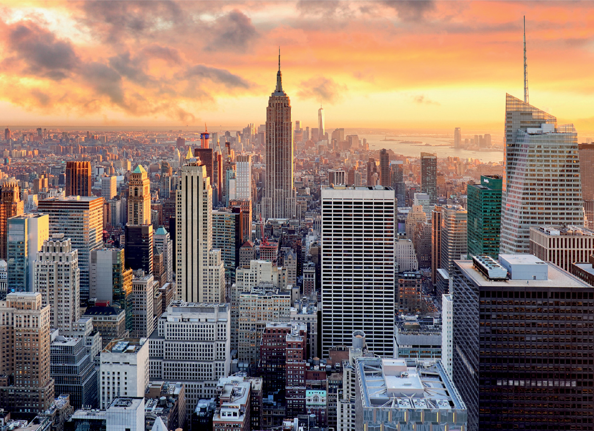 Lisciani Puzzle + Poster New York puzzle 1000 pezzi adulti