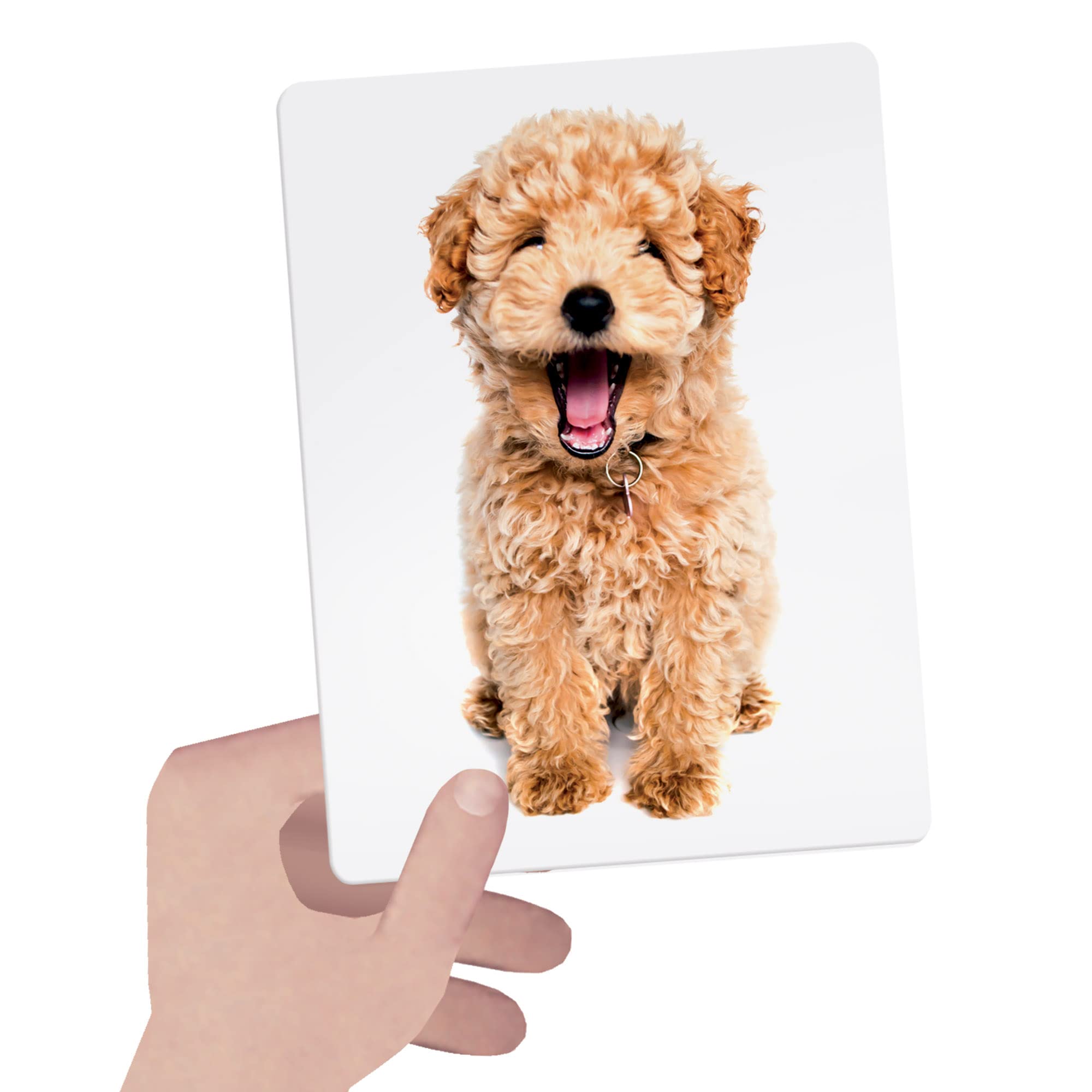 Headu Flashcards Tactile Montessori Carte 1-4 Anni Confezione da 1