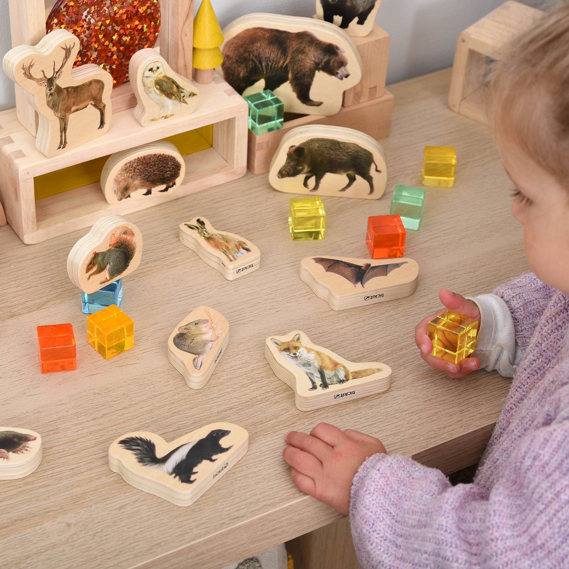Tickit Wooden Forest Animal Blocks blocchi 15 pezzi foresta