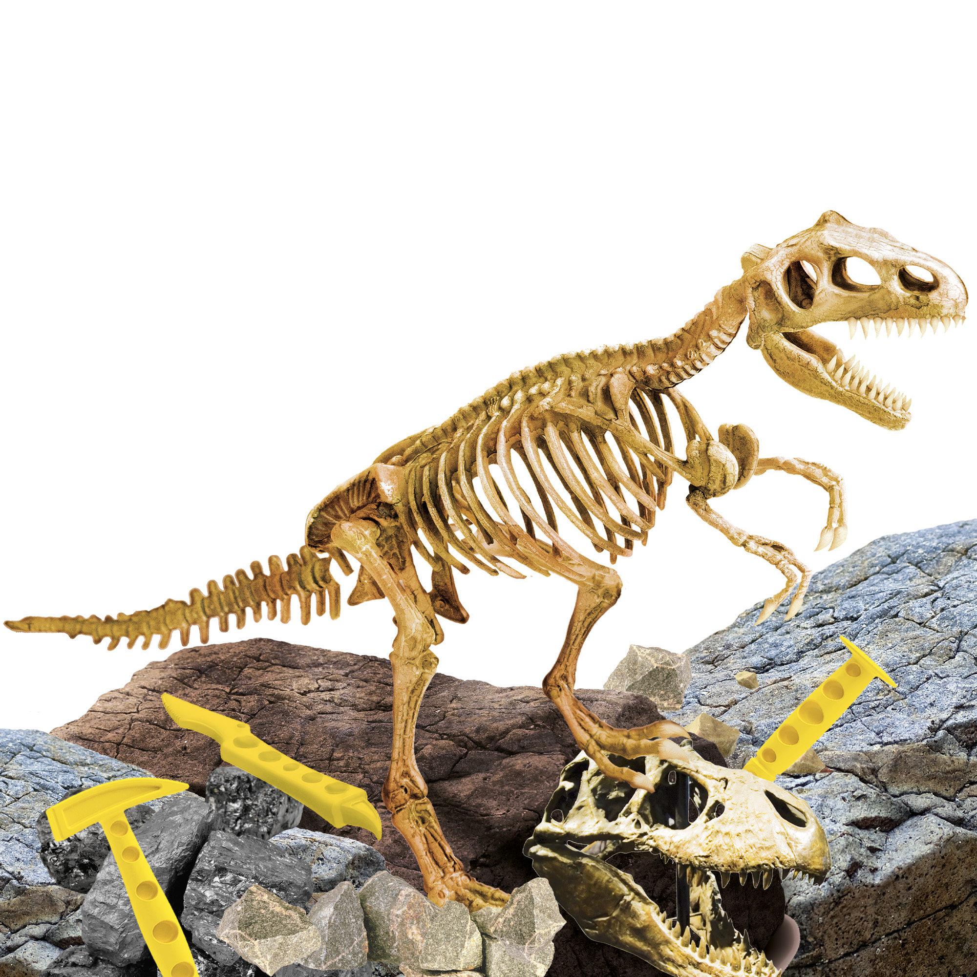 Lisciani I'm a Genius Super Kit T-Rex kit scavo dinosauro