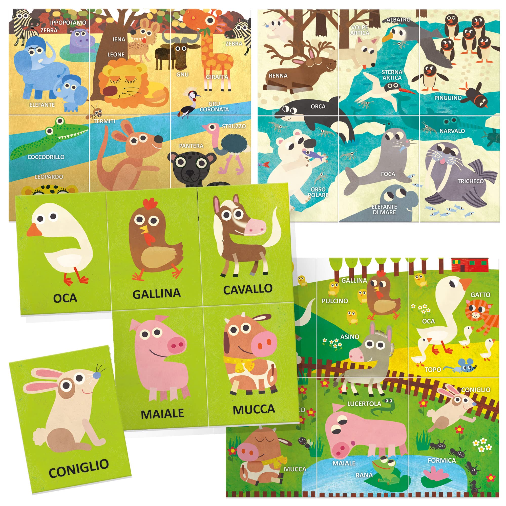 Headu Enciclopedia Animali IT54860 Flashcards 36 Carte Montessori