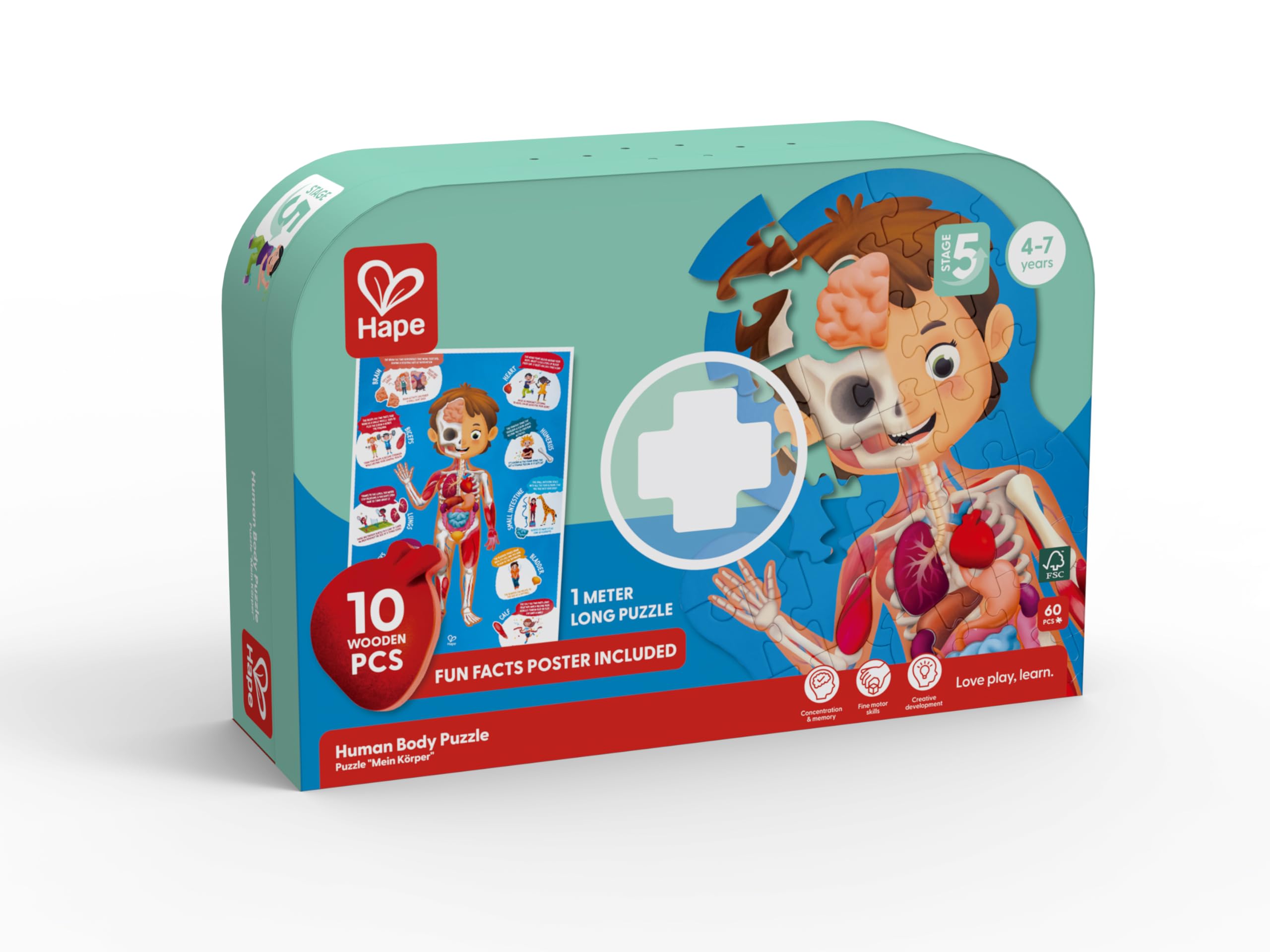 Hape Corpo Umano Puzzle 50 Pezzi da 4 Anni