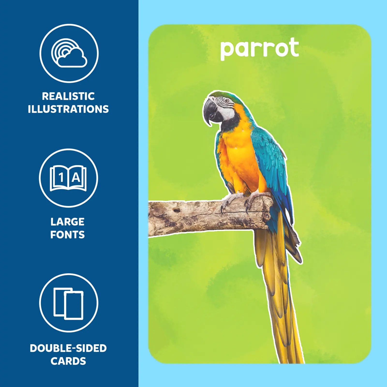 Skillmatics First 100 Animals flashcard 50 carte animali 1-4 anni