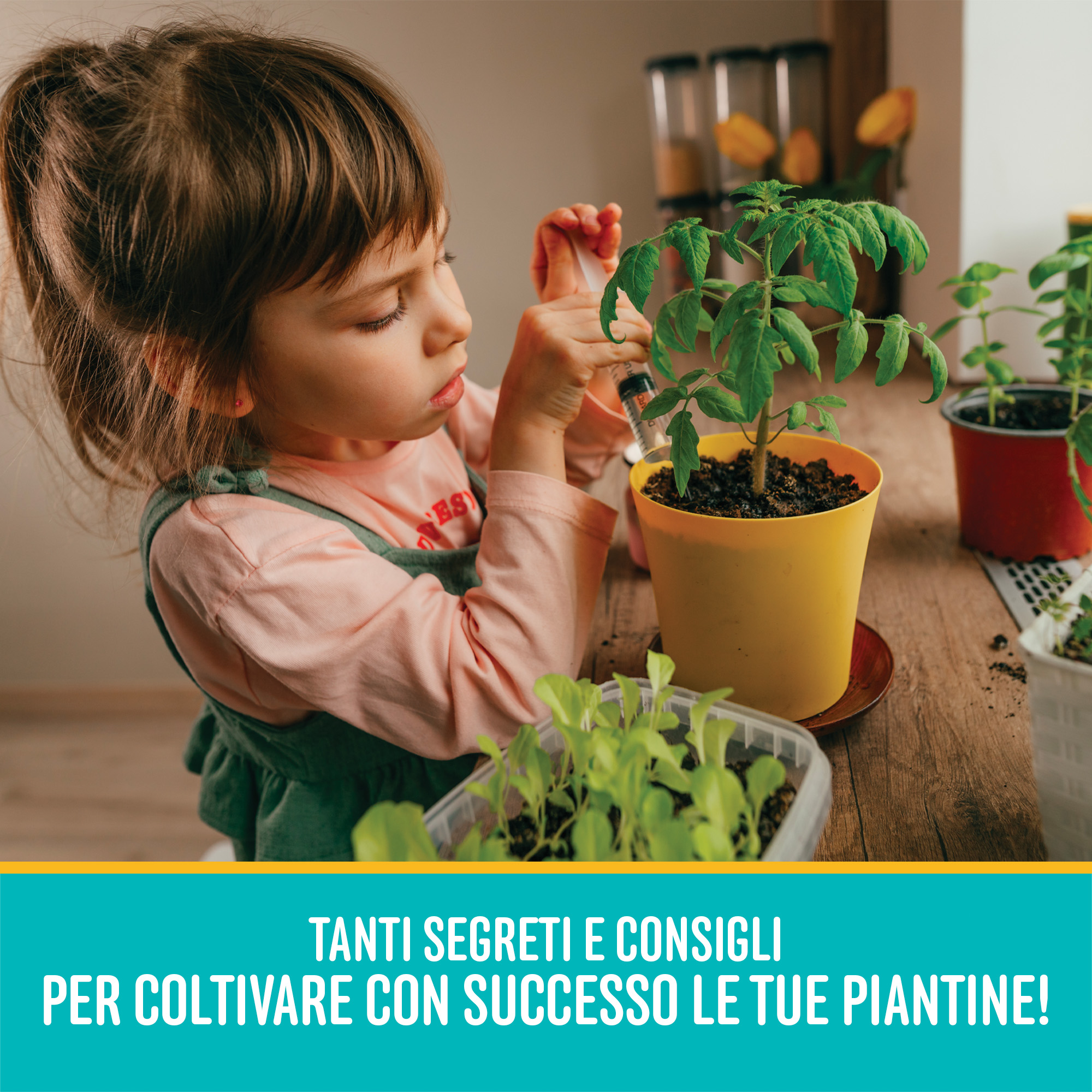 Lisciani I'm Genius Laboratorio di Botanica gioco serra piante