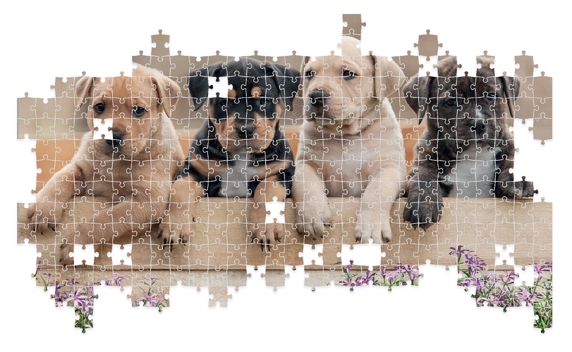 Lisciani Puzzle Poster Dogs 500 puzzle 500 pezzi con poster